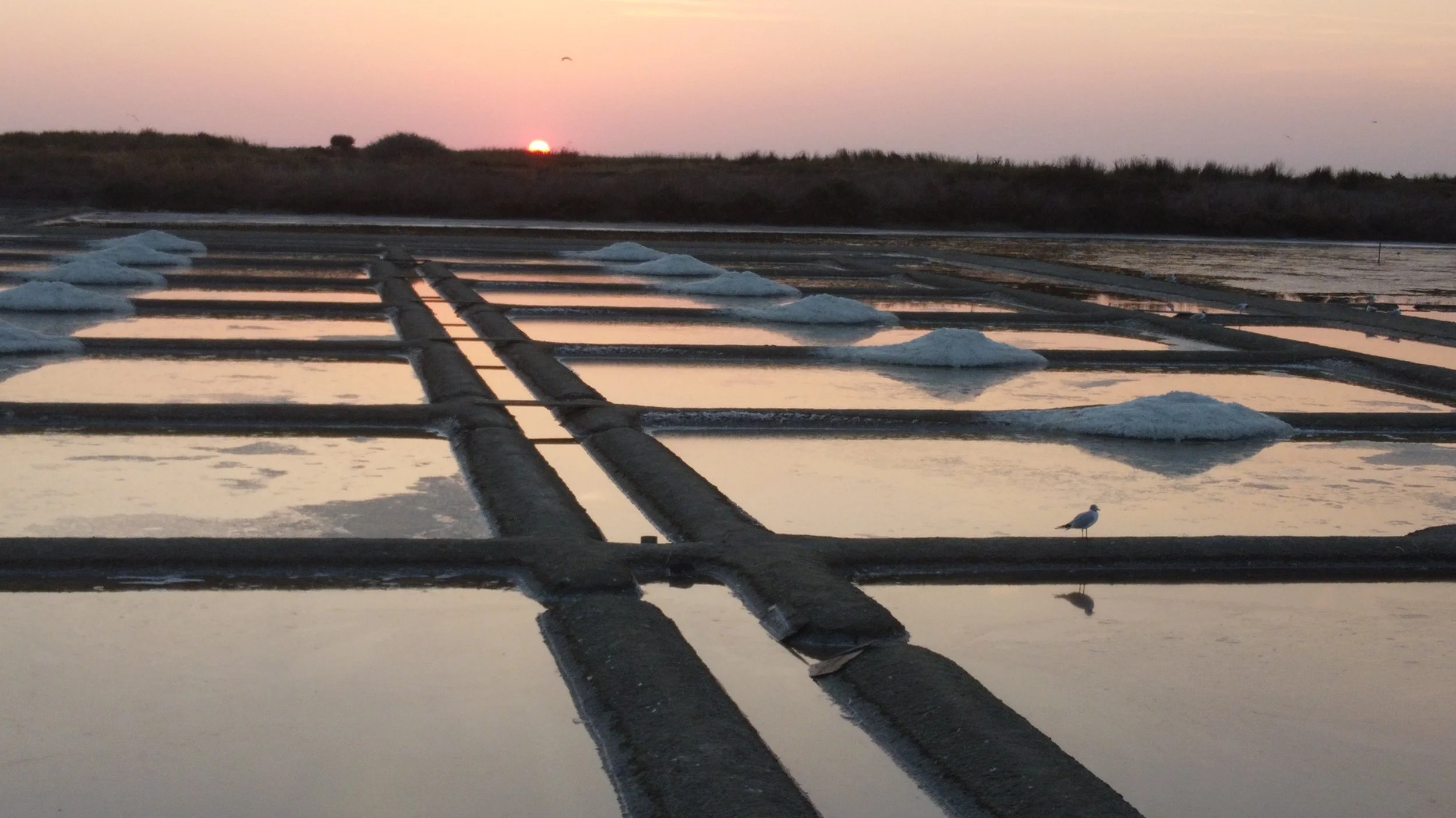 Coucher de soleil sur une marais salant, avec des filets d'eau et des montagnes de sel, une mouette en premier plan et des oiseaux dans le ciel.