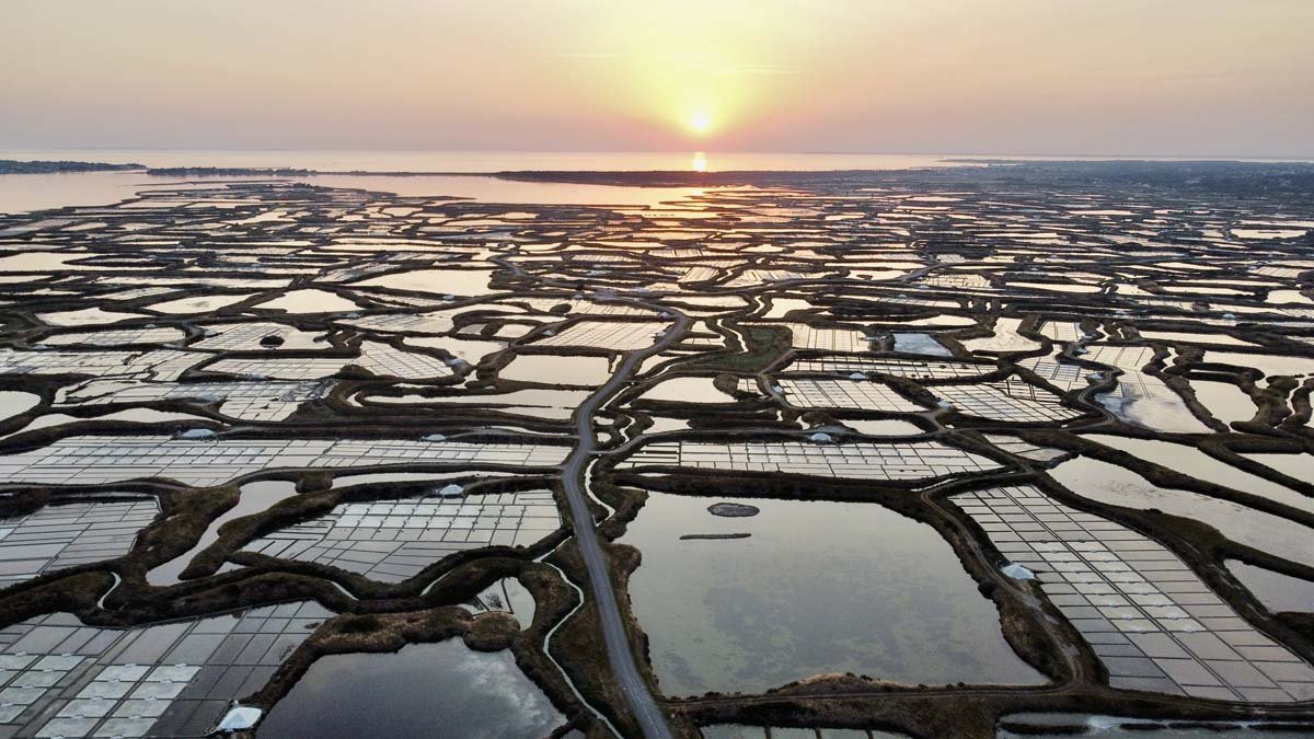 RemoteMediaFile_6554590_0_2022_07_18_21_47_10.jpg