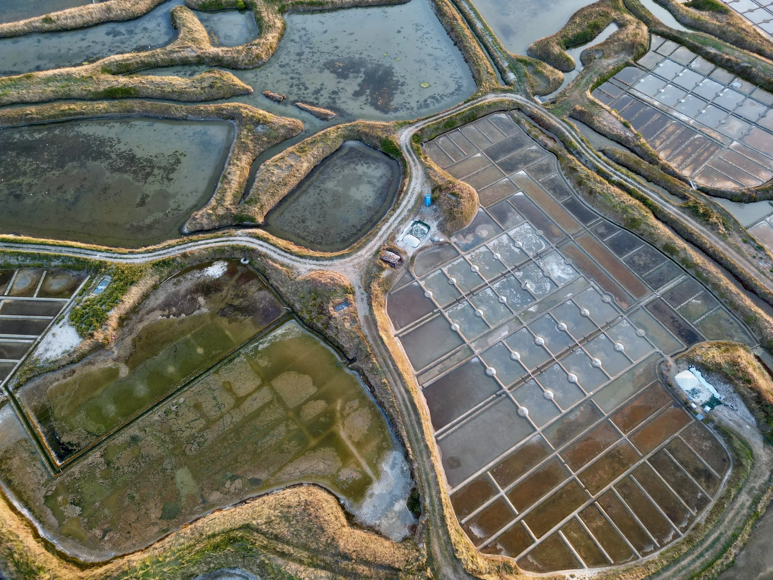 dji_fly_20250810_210410_320_1754854489797_photo.JPEG