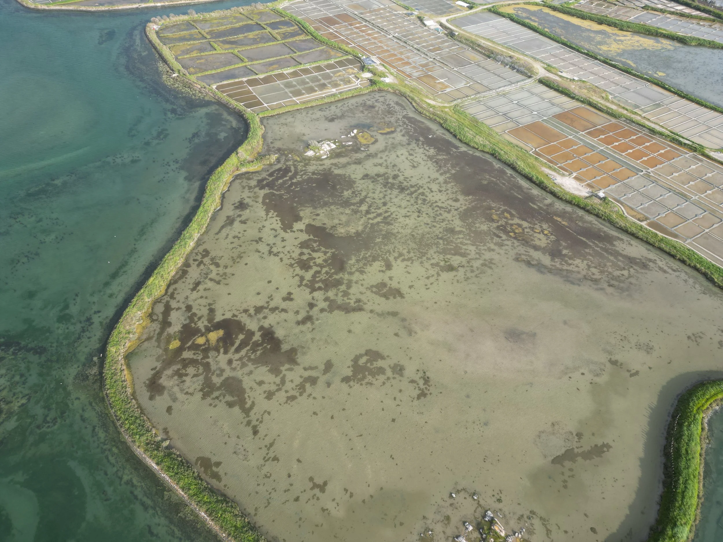 dji_fly_20240424_191042_17_1730792819788_photo.JPEG