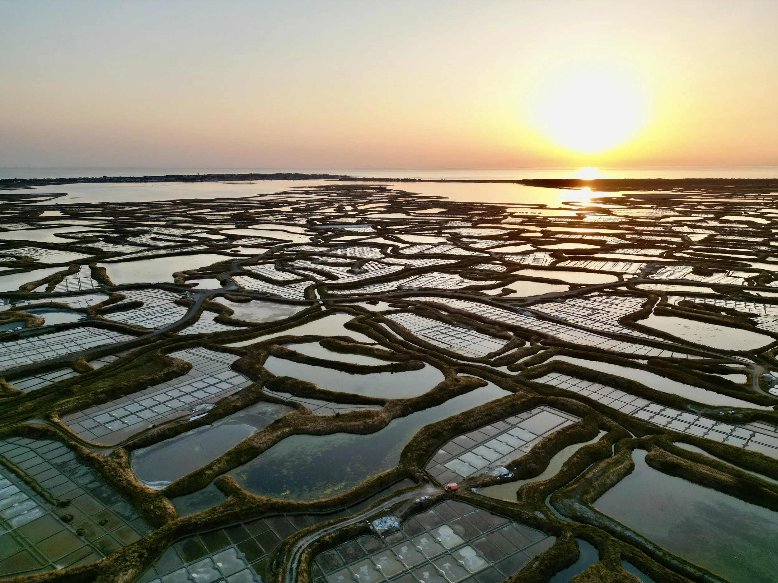 Paysage de marais salant avec des étangs rectangulaires et des chemins bordés de végétation, avec un coucher de soleil à l'horizon.