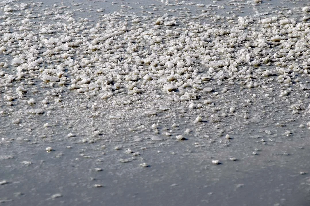 Le courtbouillon au sel de Guérande — Artisans du sel