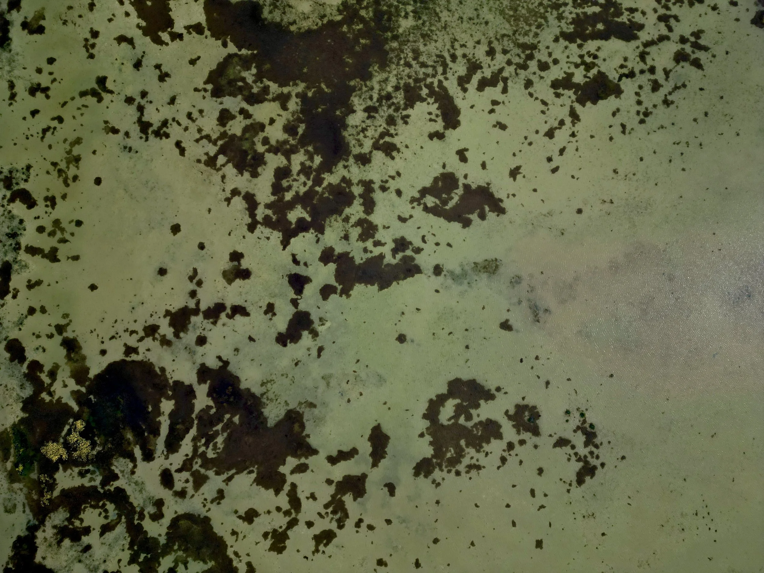 dji_fly_20240501_155532_30_1730792817418_photo.JPEG