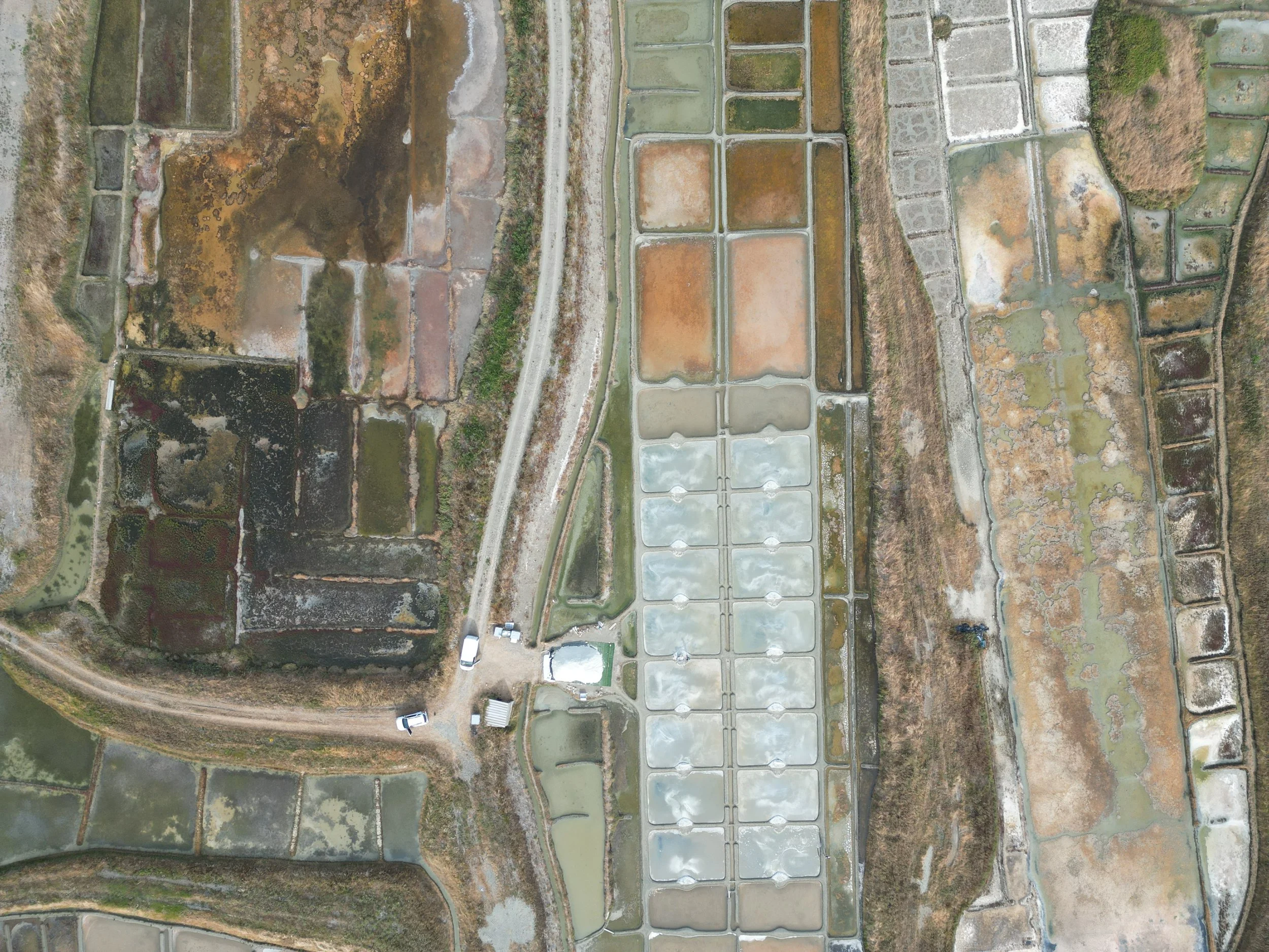 dji_fly_20250717_184148_168_1752771184189_photo.JPEG