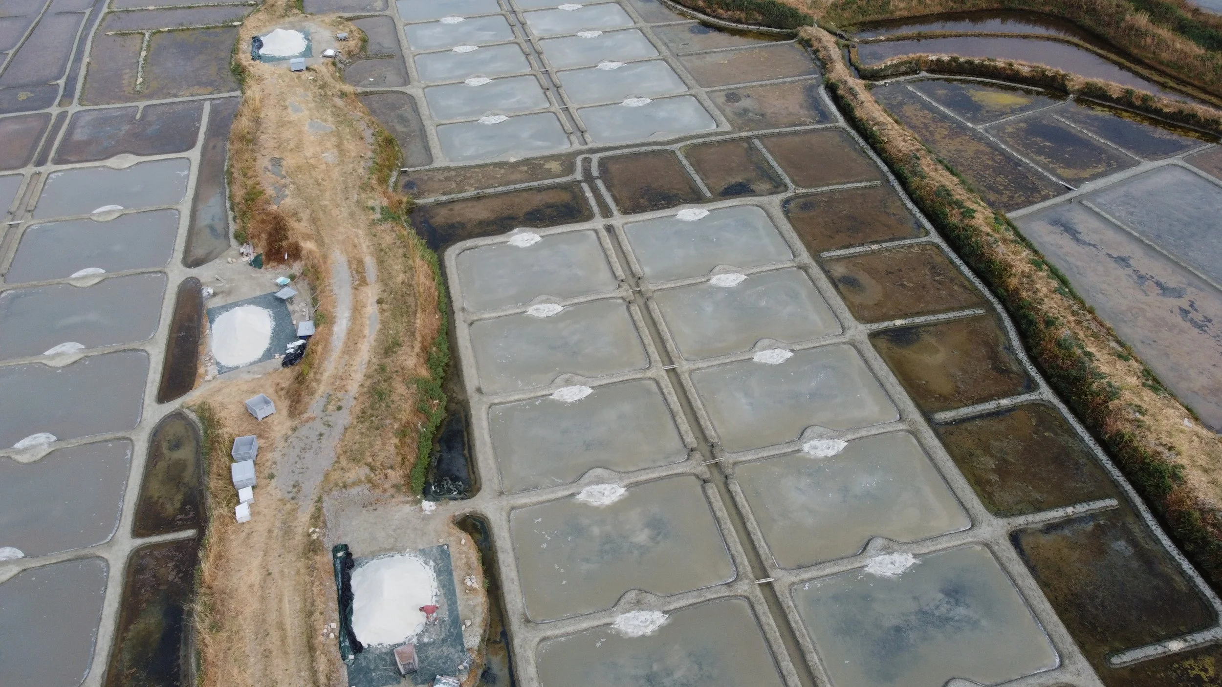 DJI_0583.JPG