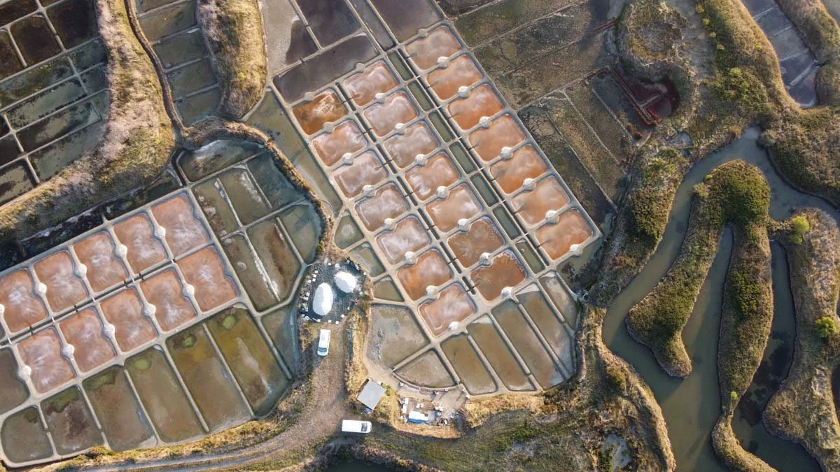 DJI_0900.jpg