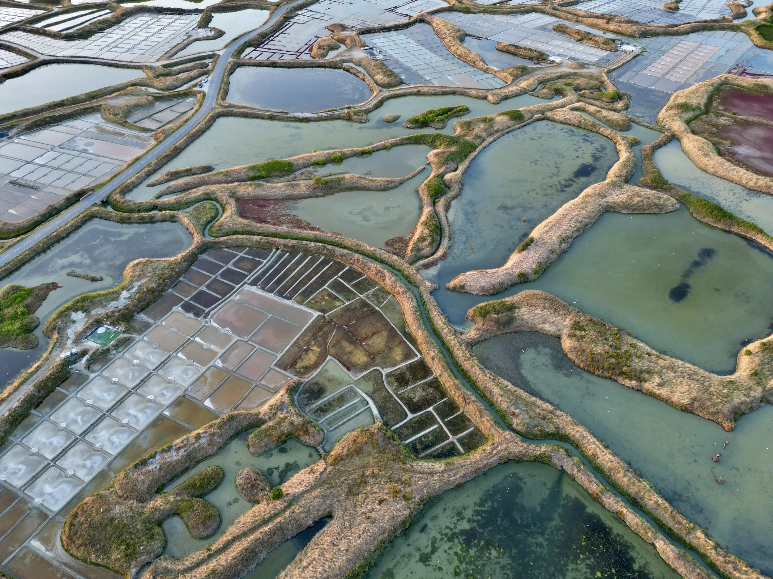 dji_fly_20250810_210826_327_1754854467381_photo.JPEG