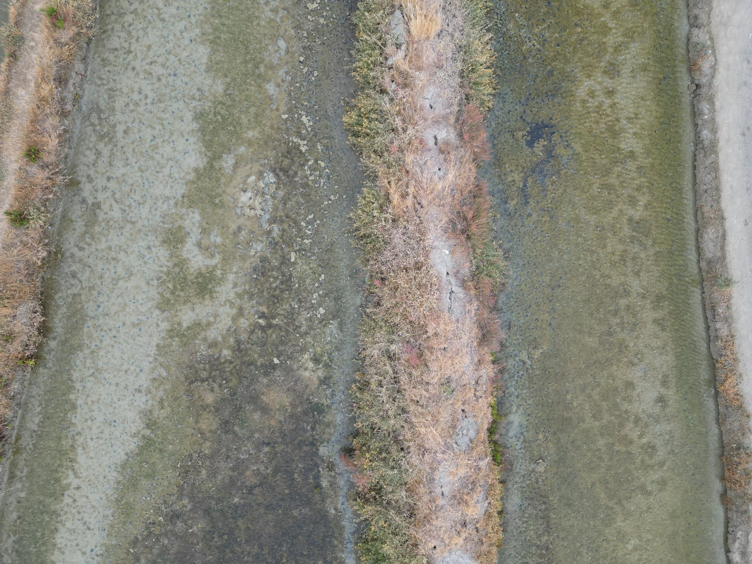 dji_fly_20250717_190840_237_1752772341277_photo.JPEG