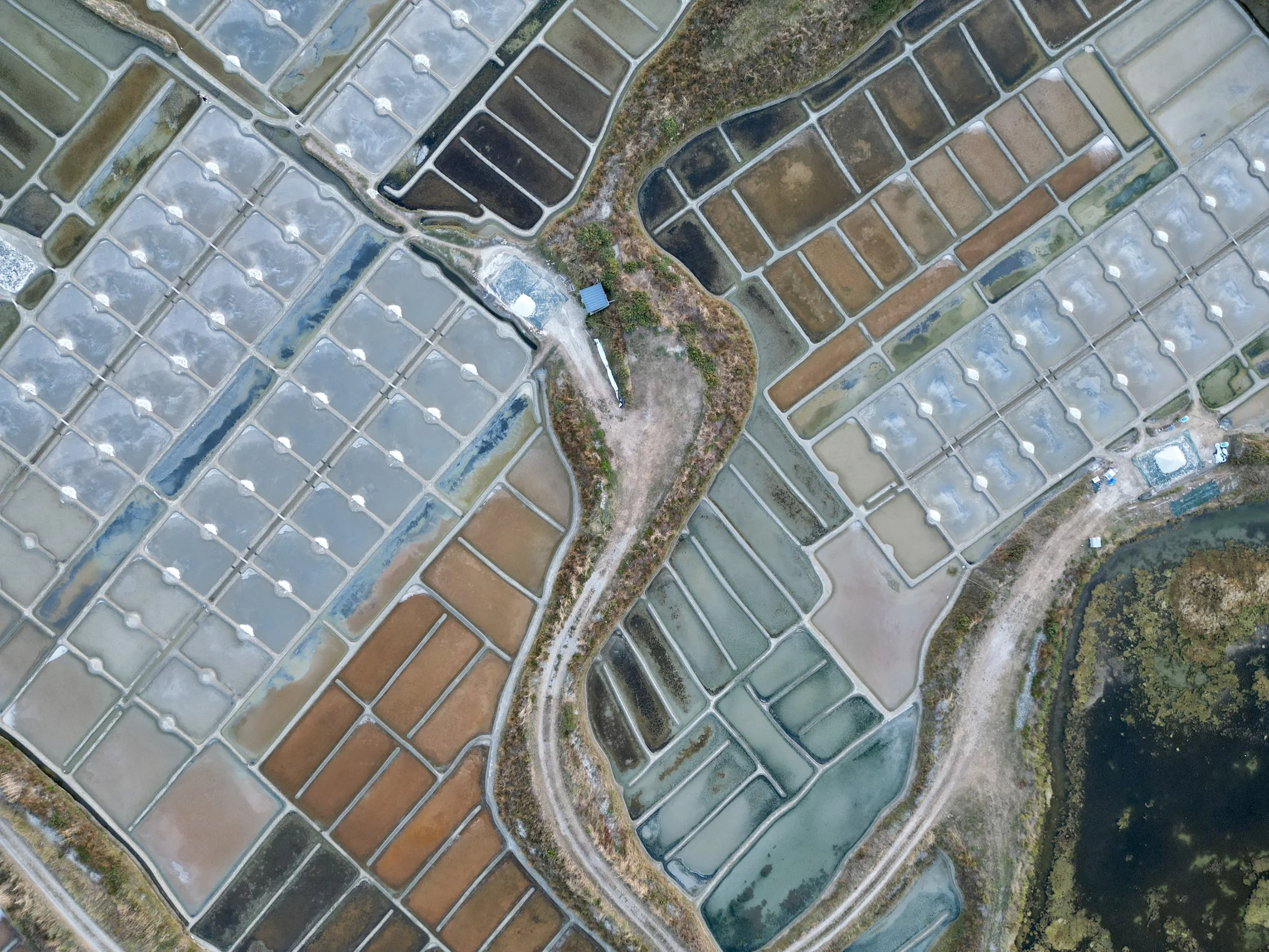 dji_fly_20250810_212338_360_1754854378914_photo.JPEG