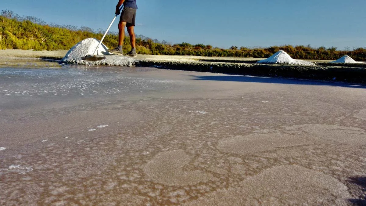 RemoteMediaFile_6619228_0_2021_09_06_18_49_44.jpg