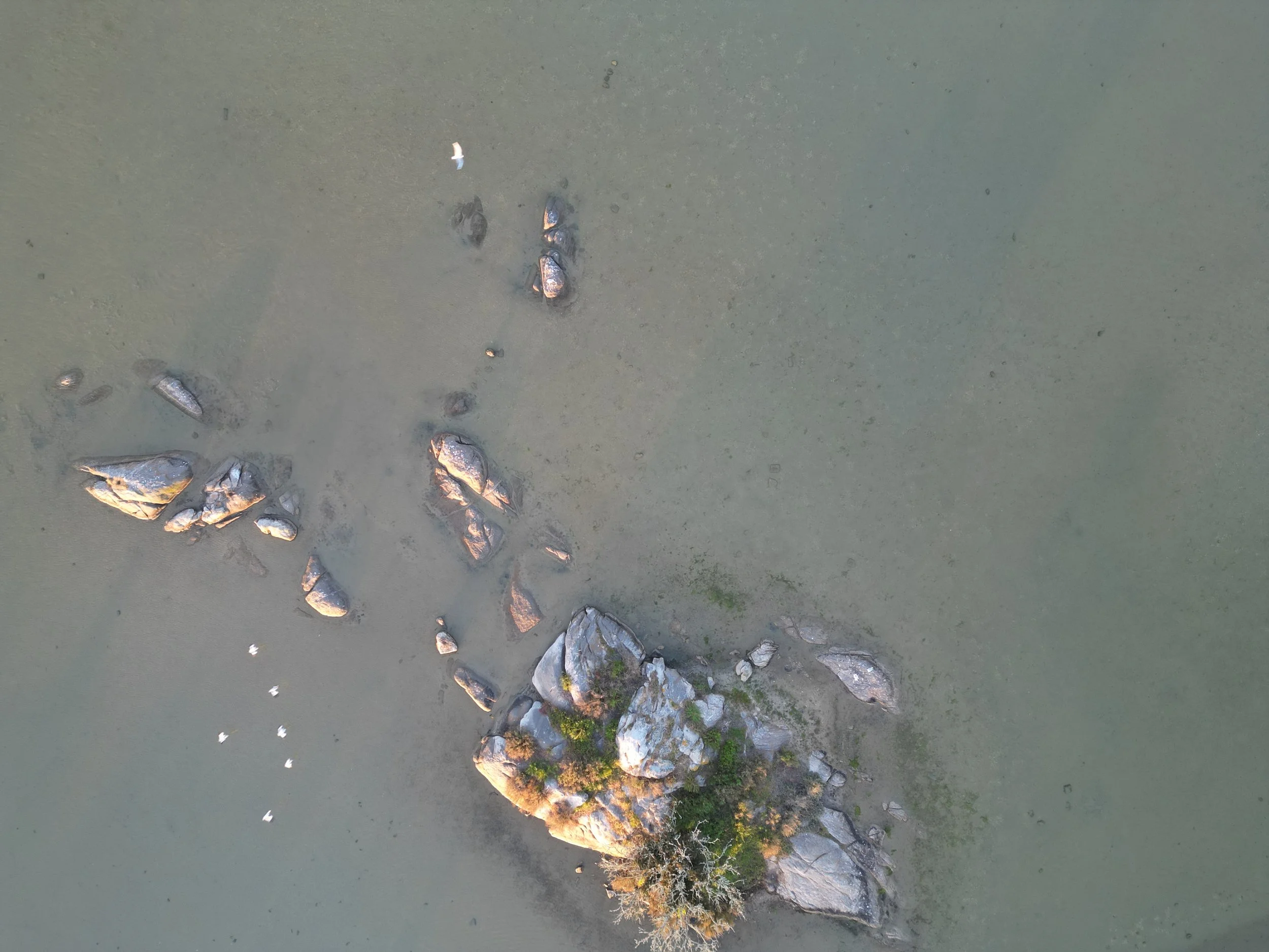 dji_fly_20260408_075606_505_1775653776607_photo.JPEG