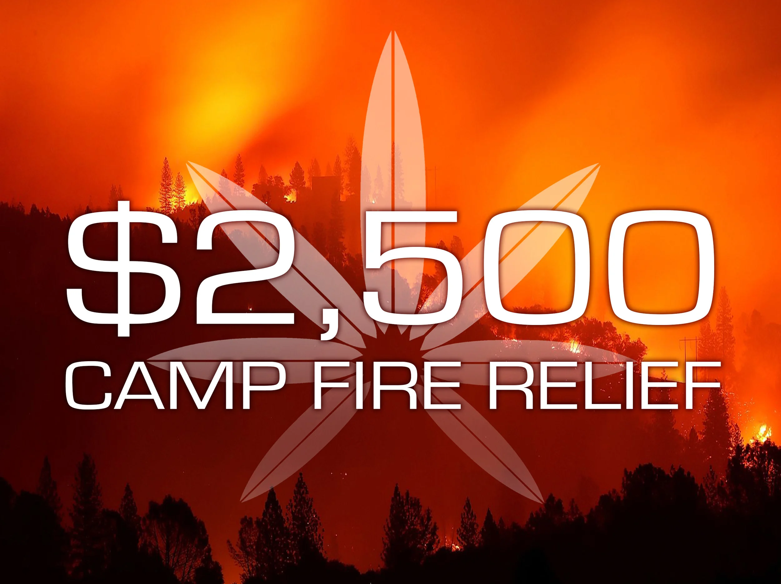 Campfire Raised donations.jpg