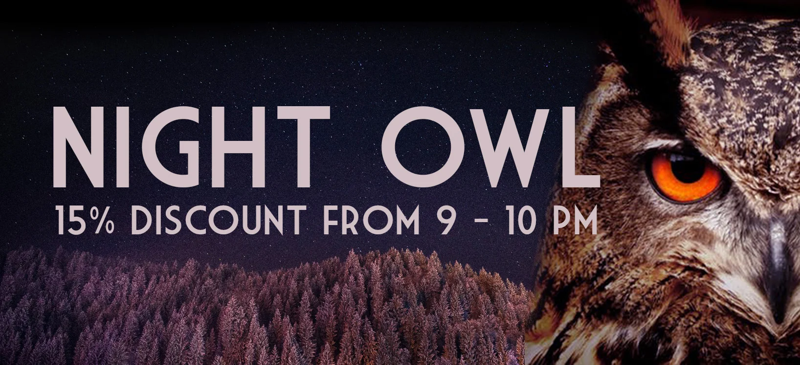 Night Owl Graphics.jpg