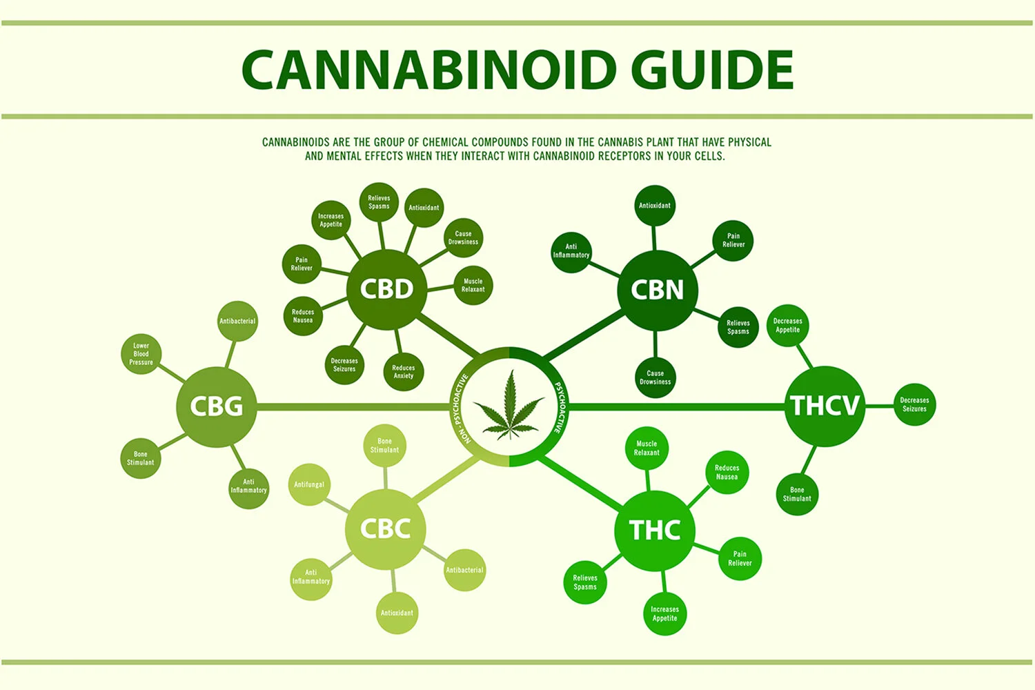 The Many Cannabinoids in Cannabis