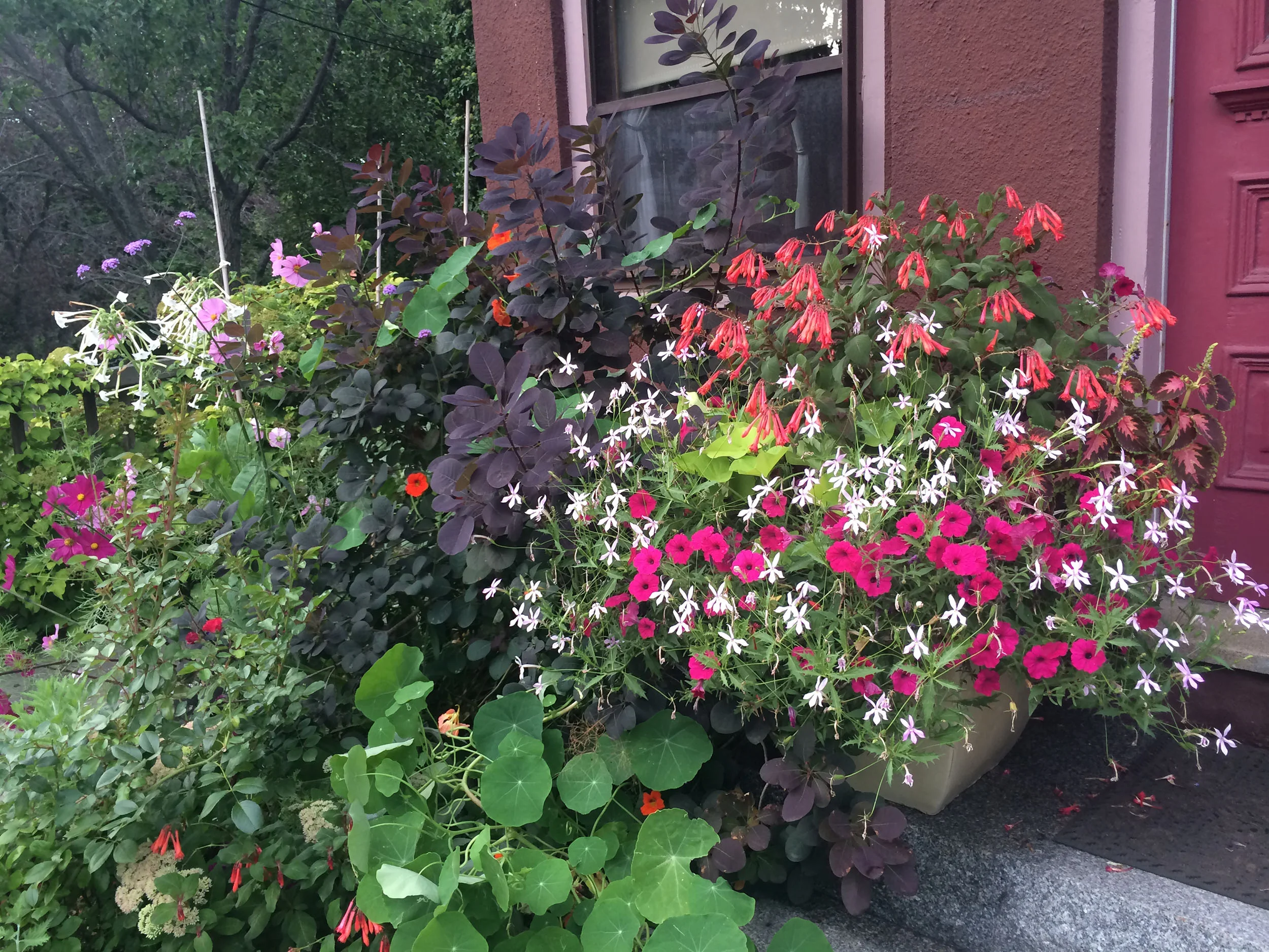 IMG_8902 WhatWeDoBanner.jpg