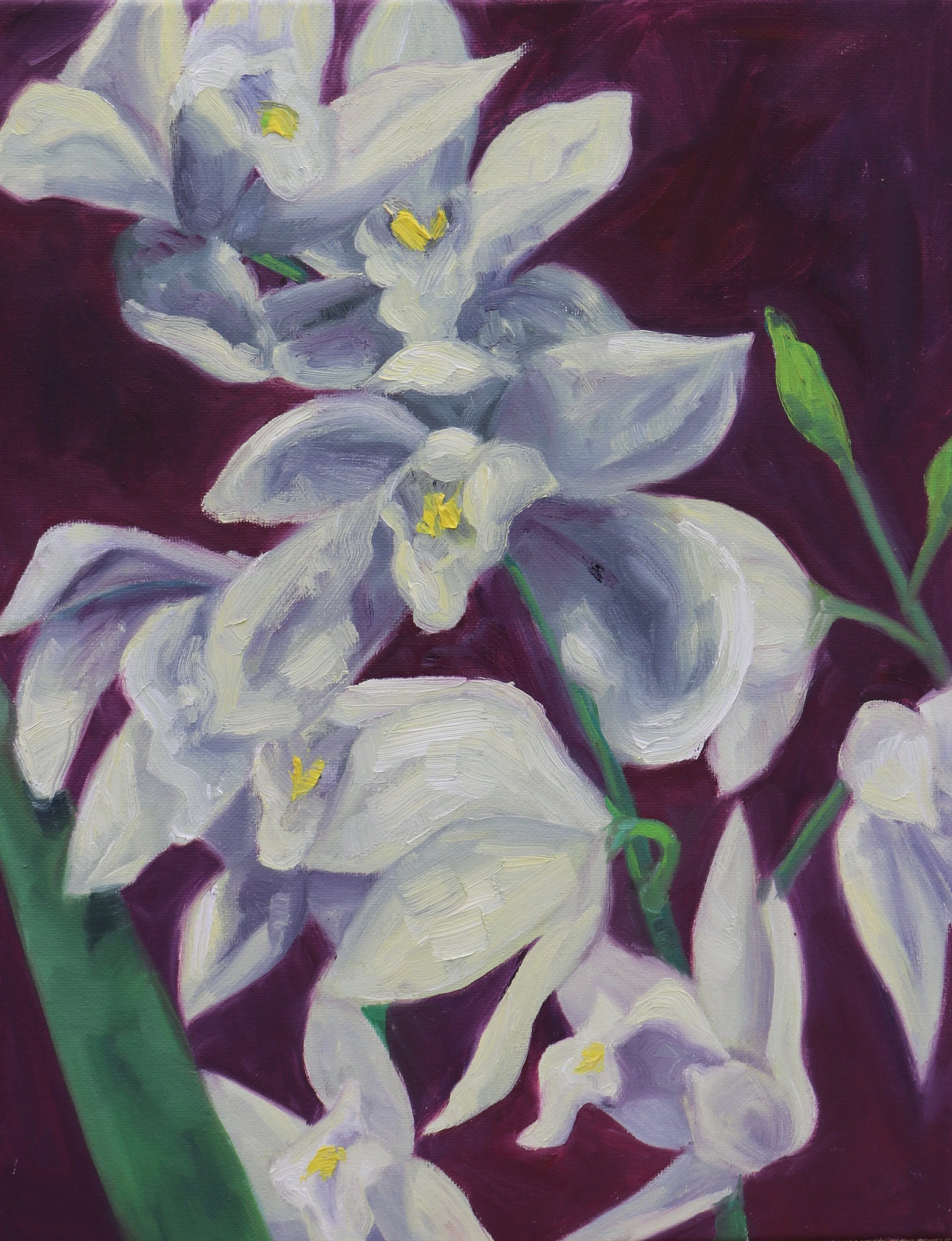 Oil on Canvas 11” x 14” 2019