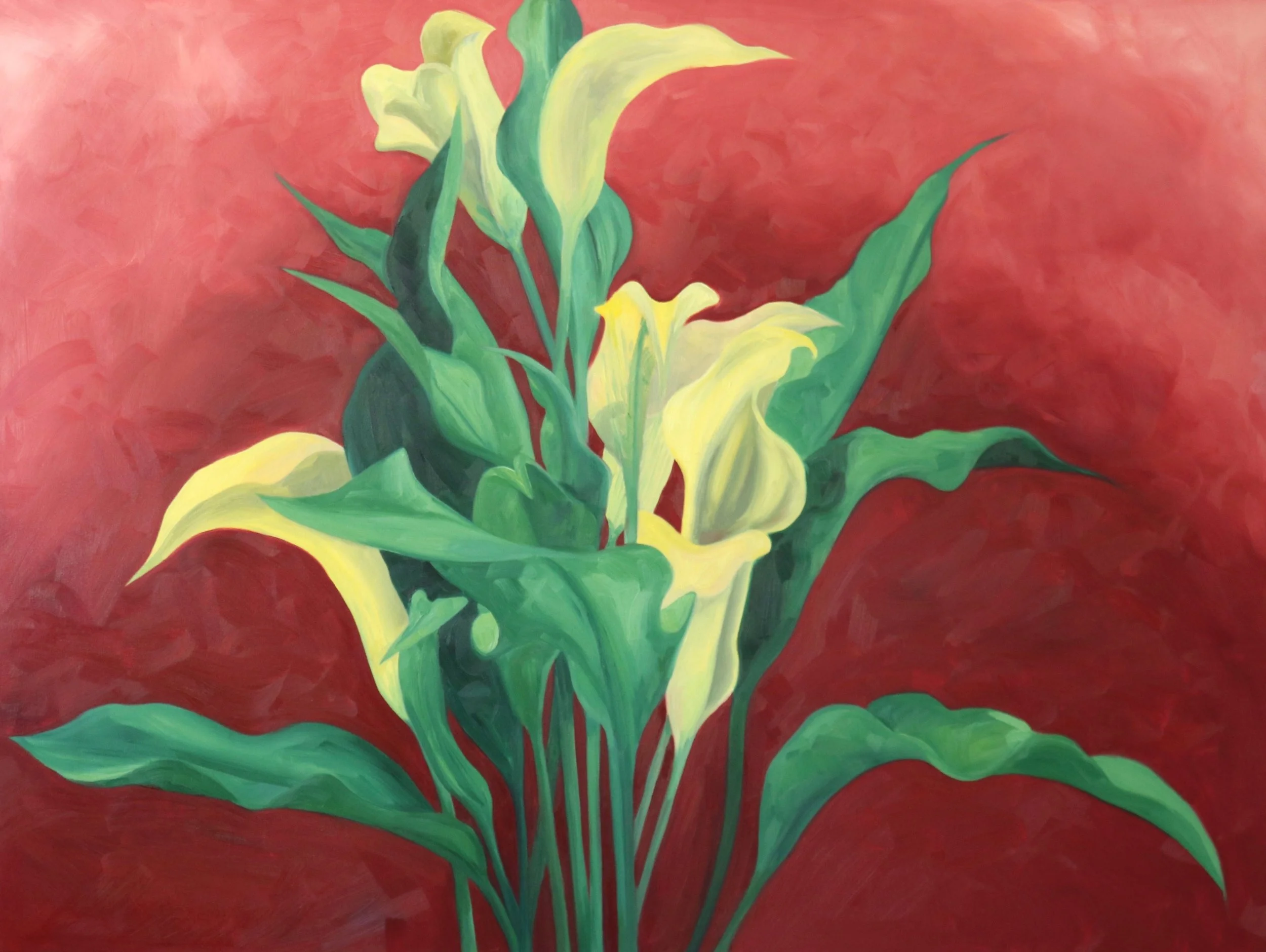 Yellow Calla Lillies on Red