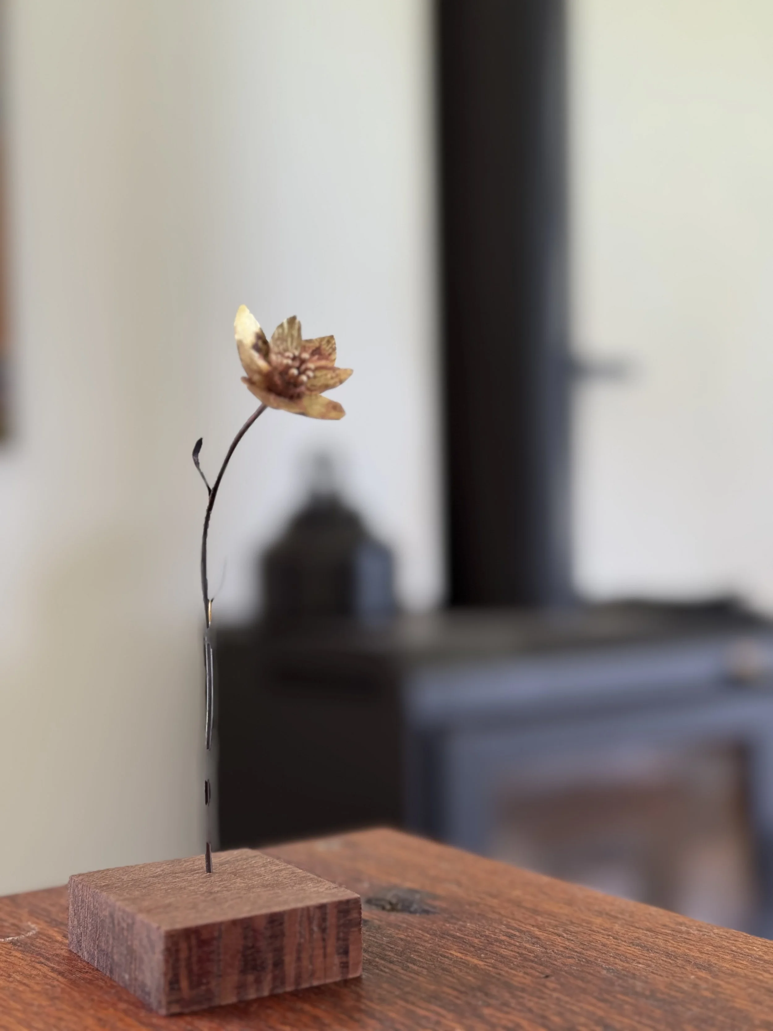  Mari Harita Artist Residency 2025 