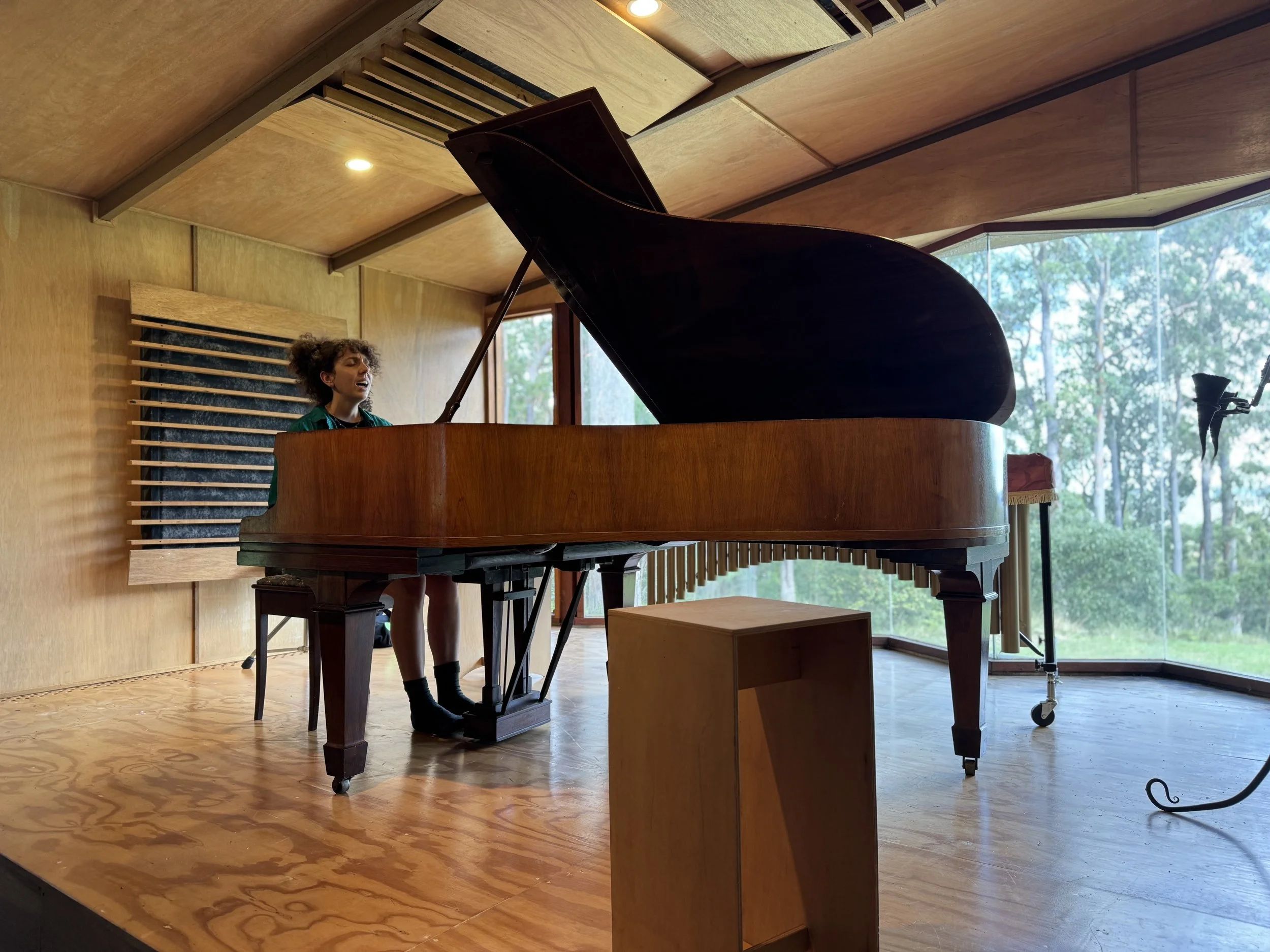  Helen Svoboda Artist Residency 2025 