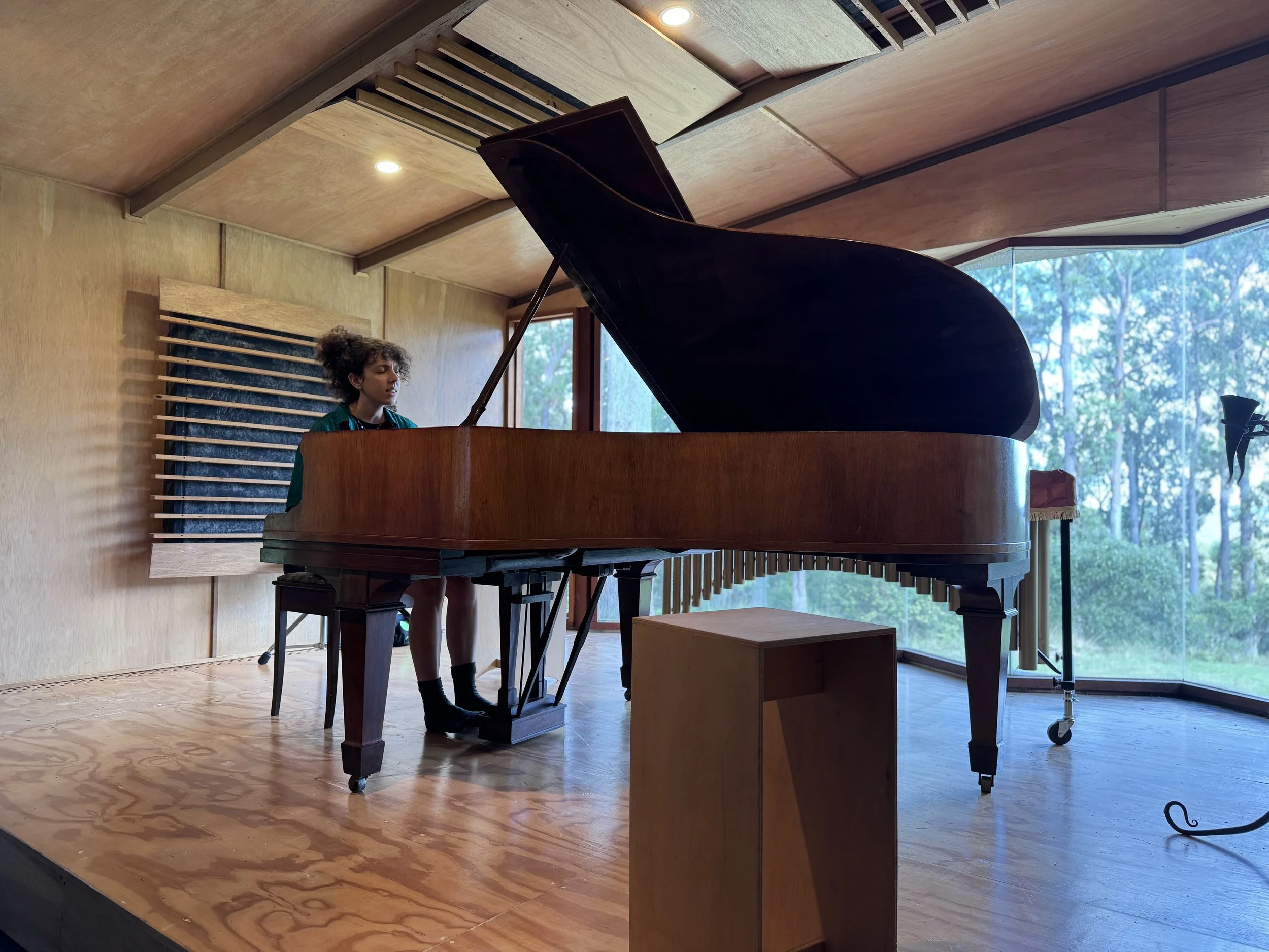  Helen Svoboda Artist Residency 2025 