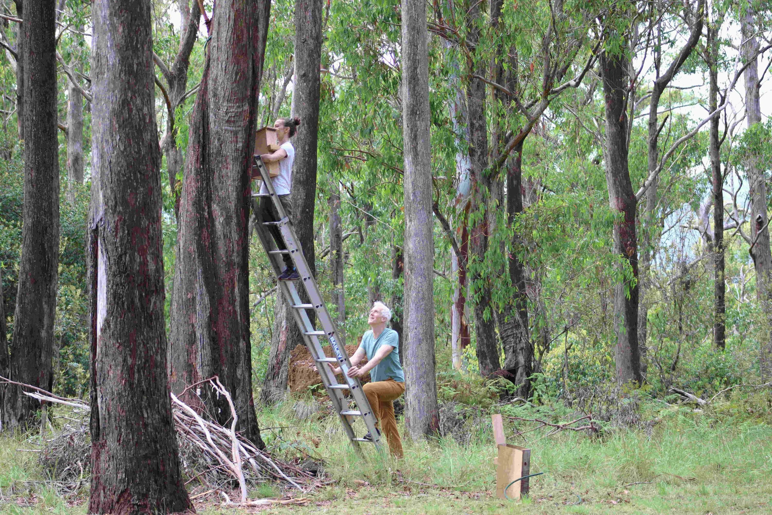 Chris Stover and Biddy Healey Artist Residency 2025 