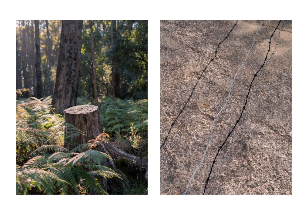  Sophie Richards Artist Residency 2026 