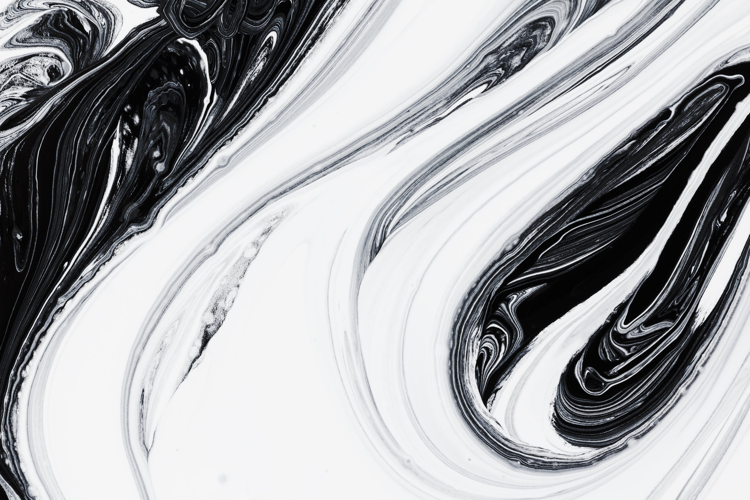 AdobeStock_148926878.jpeg