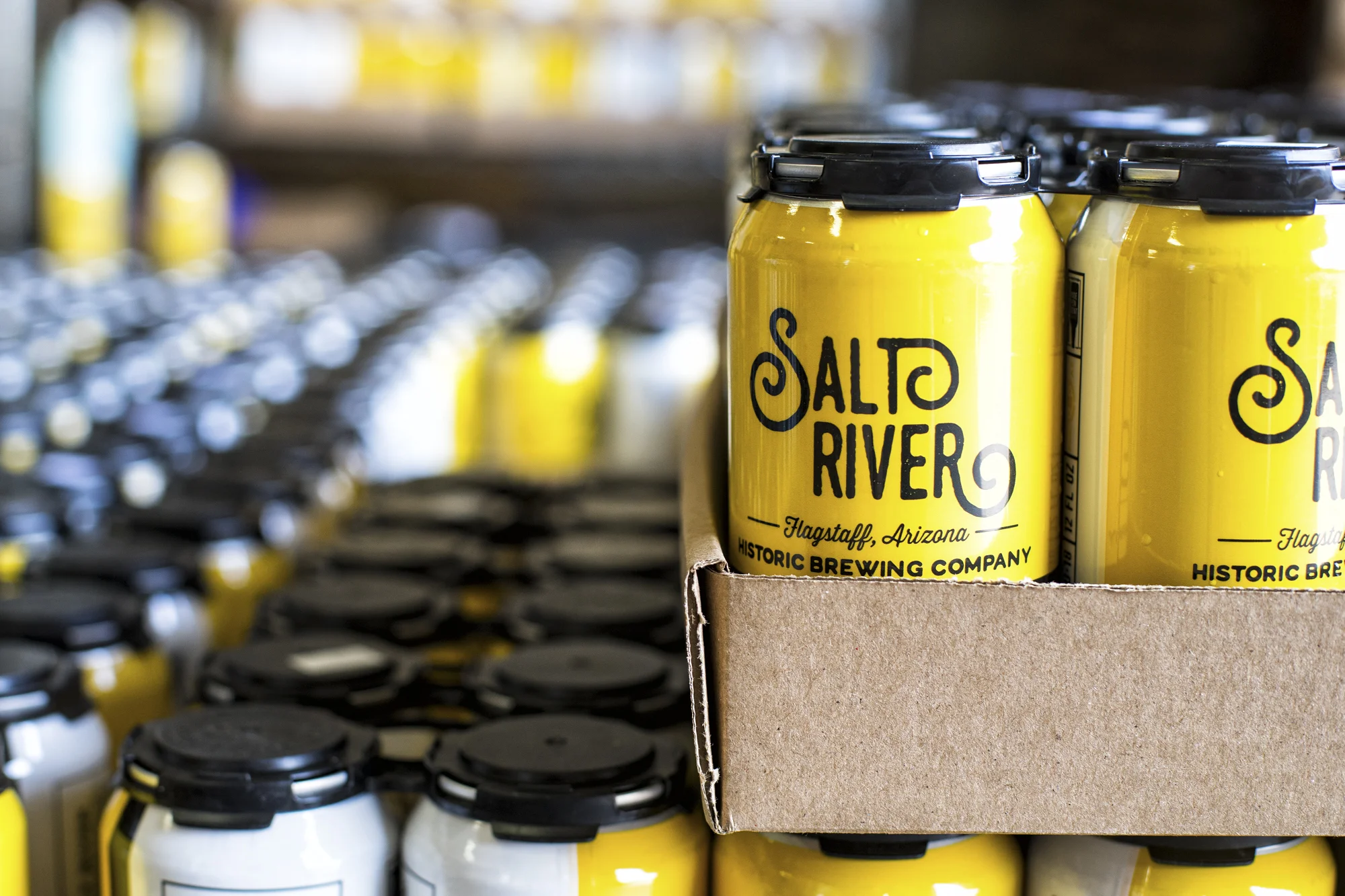 Salt River Cases.jpg