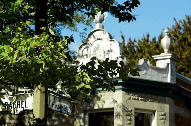 Image13.jpg