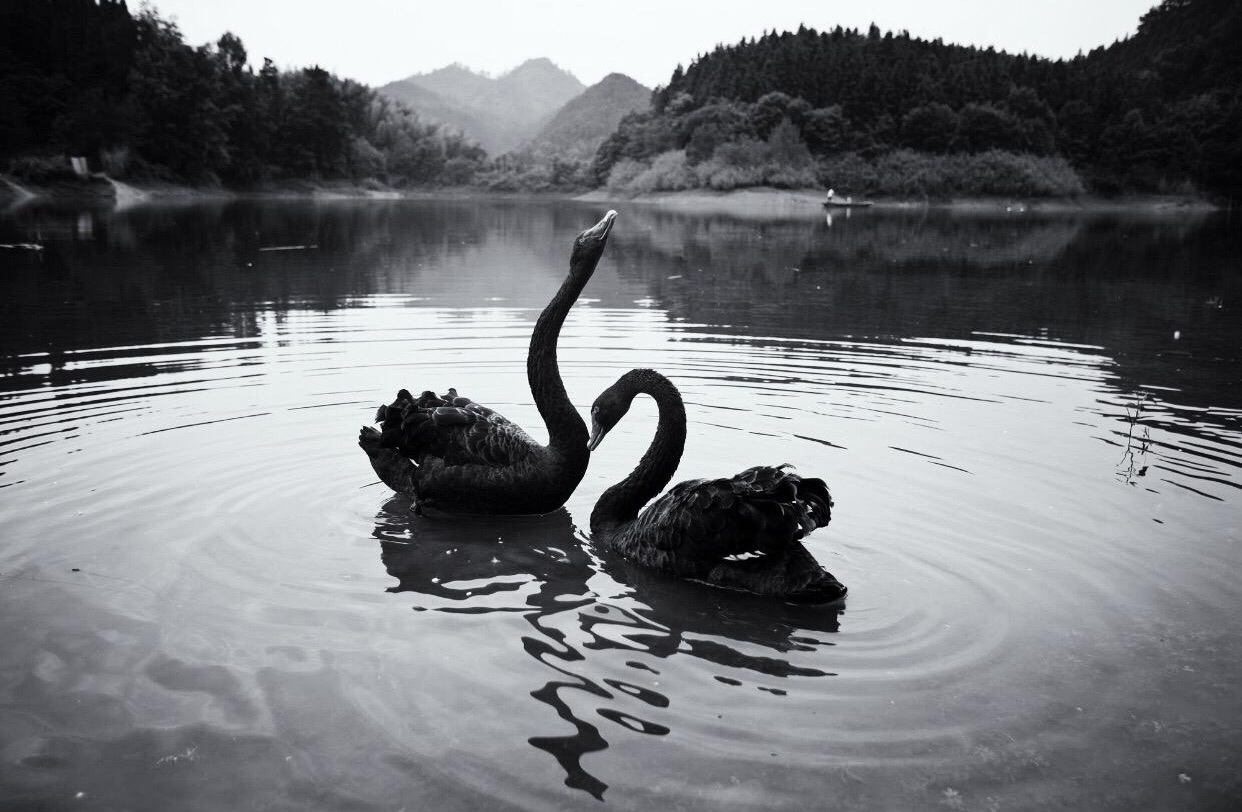 Courtesy of Qi Jimmy, Hangzhou, China. 2014.
