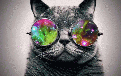 Queer Cat mascot.gif