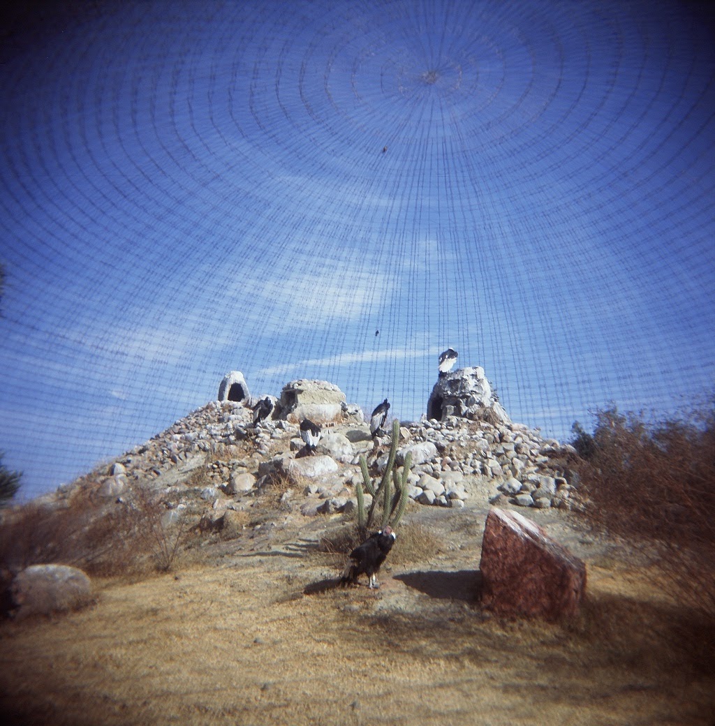 53160005.jpg