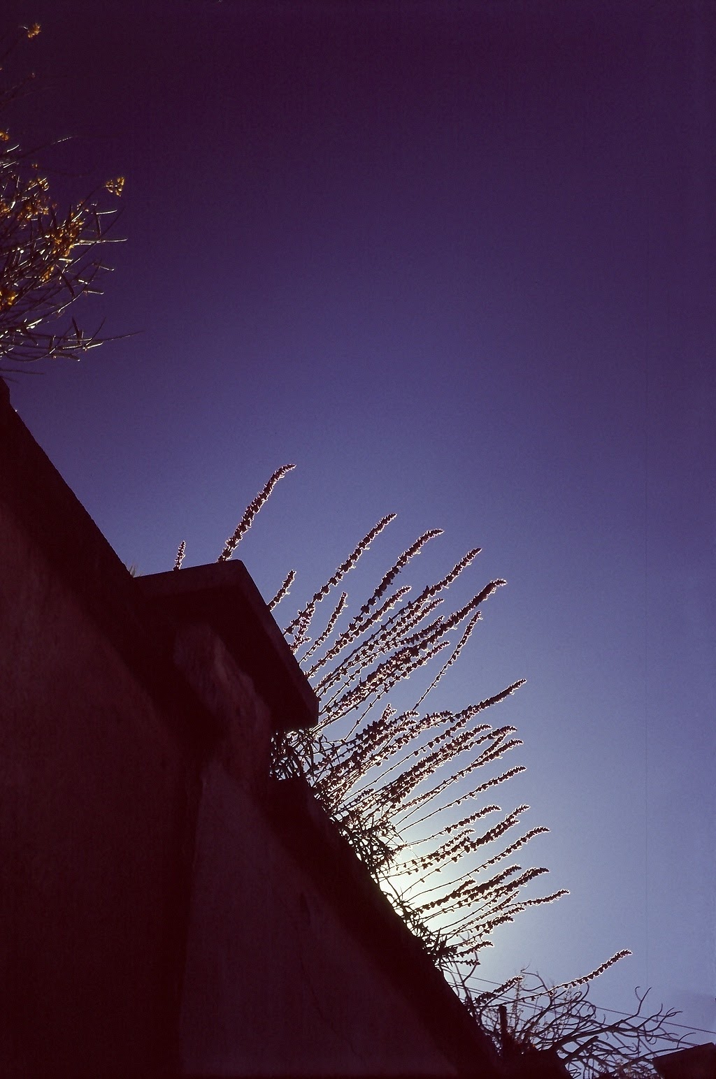 h6 007.jpg