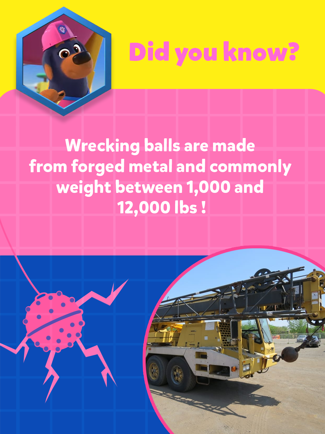 Pupstruction_IG_Roxy.png
