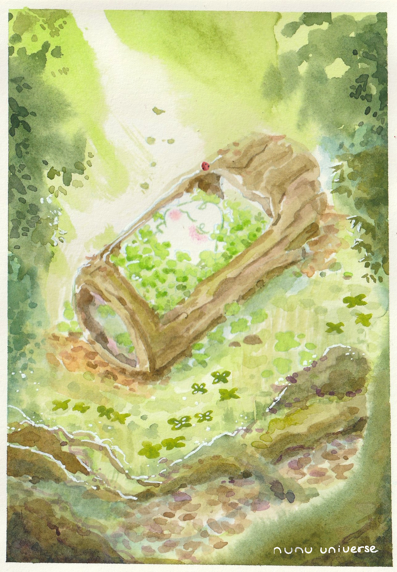 Day12_Bark.png