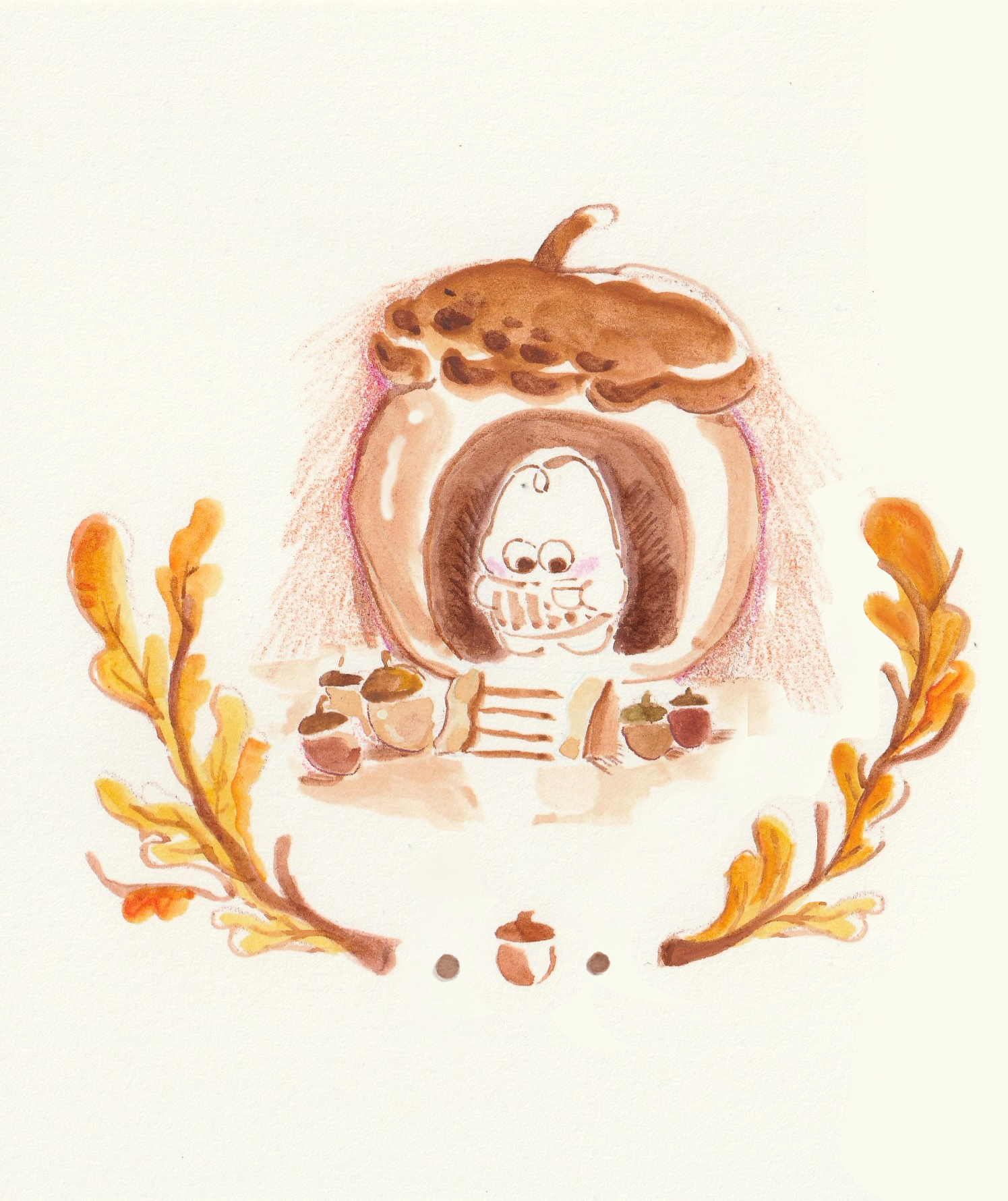 Day1_Acorn.png