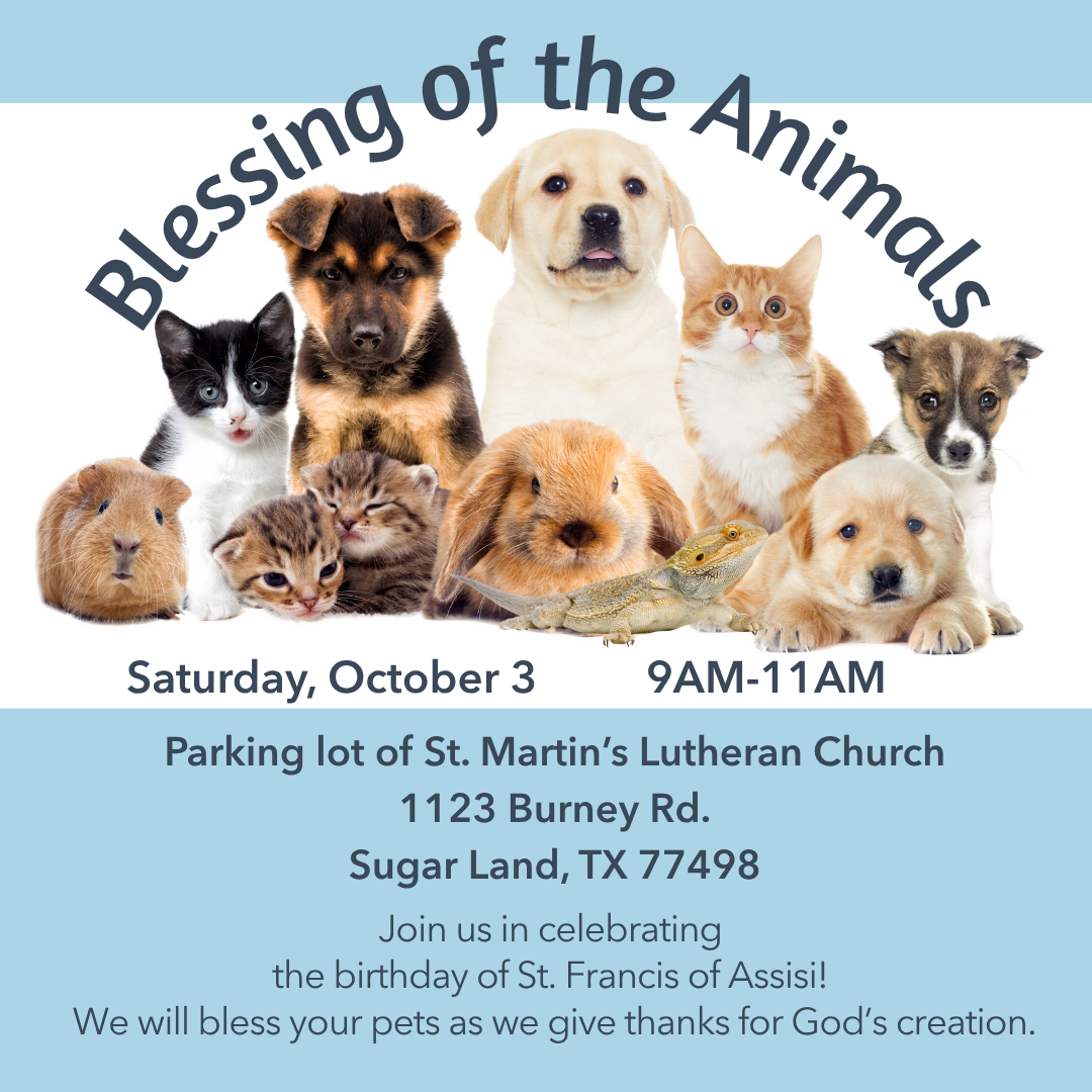 2026Blessing of the Animals.png