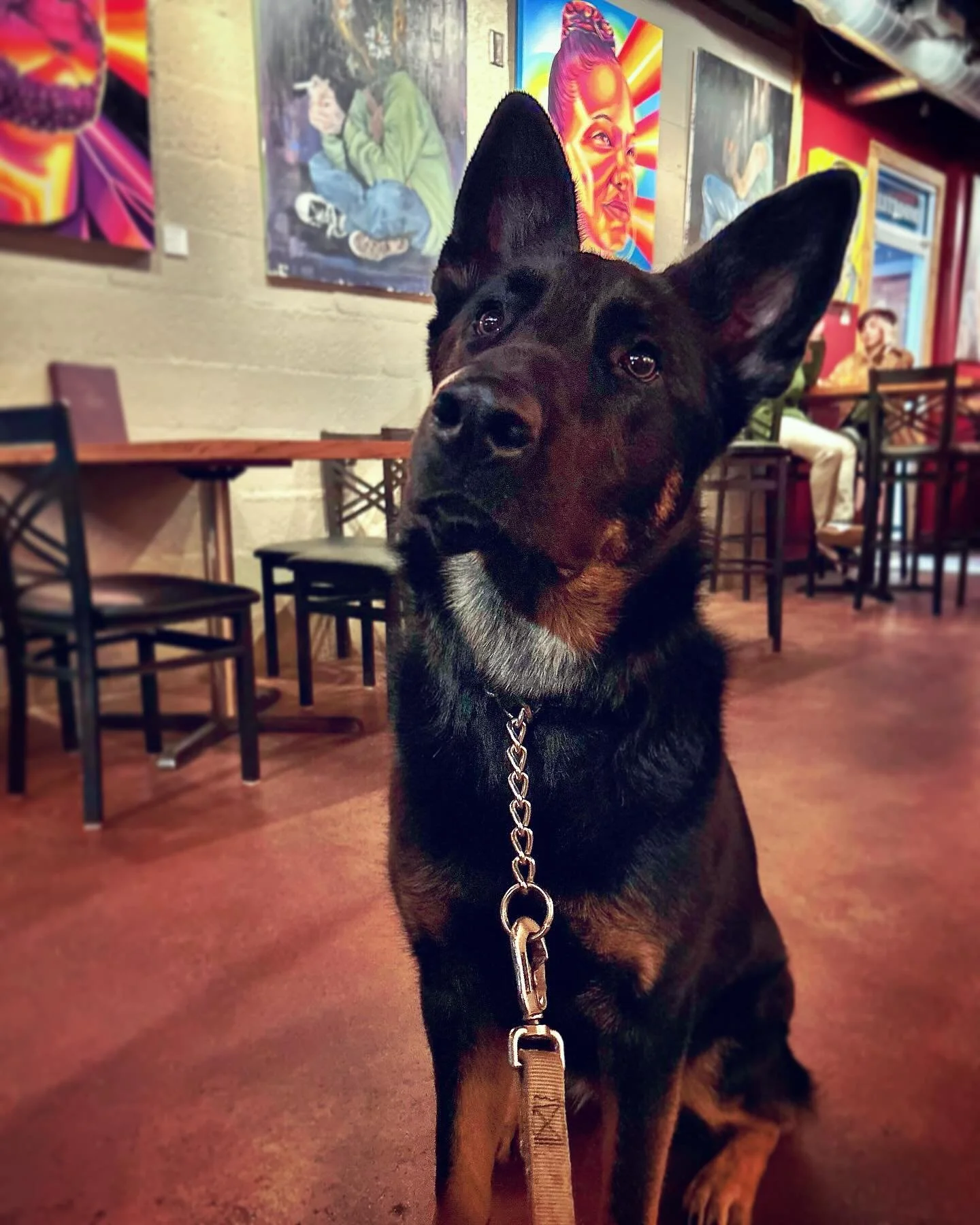 grabbing a drink with my best pal