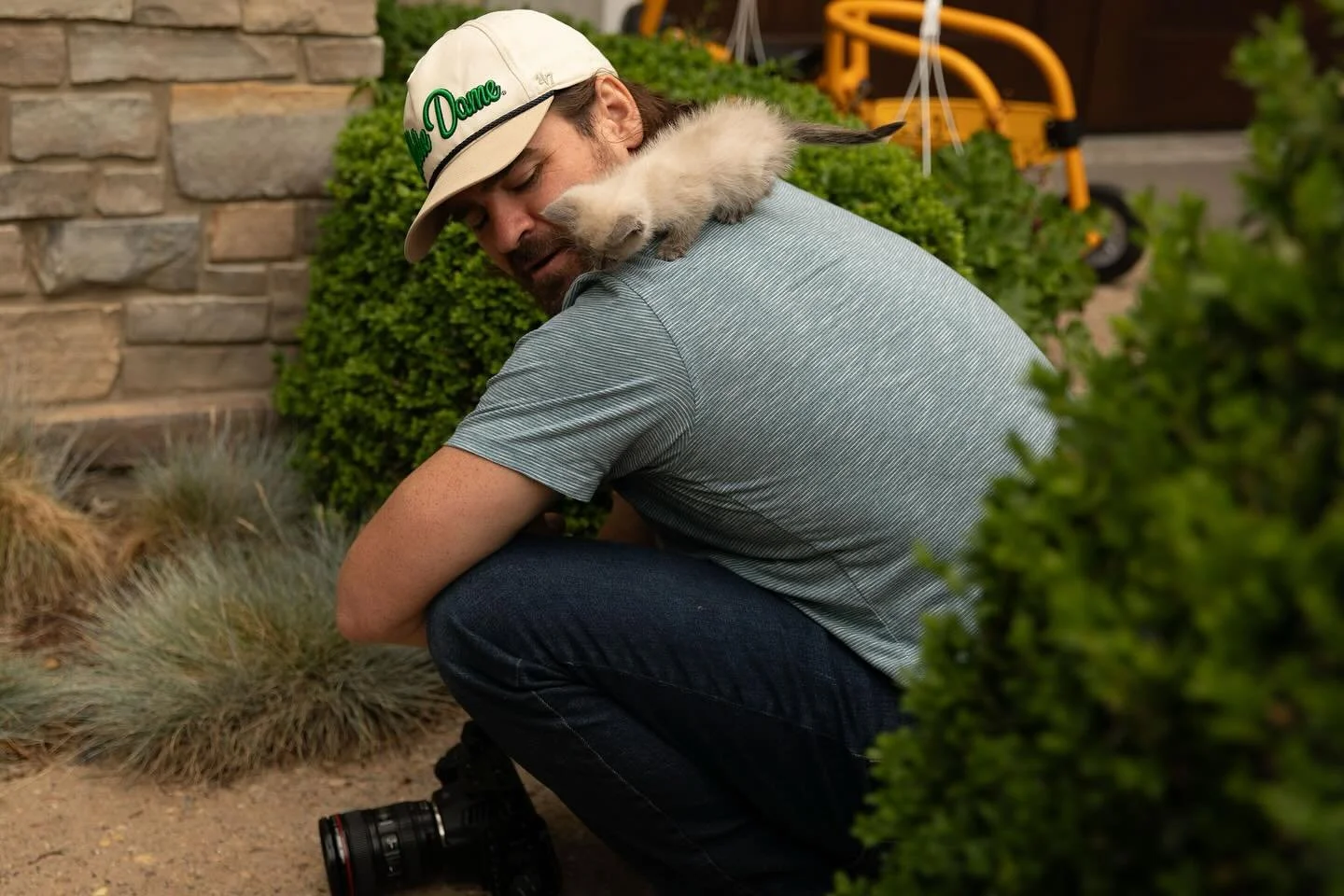 kitten around at a recent photoshoot 

📷: @danielledoepke