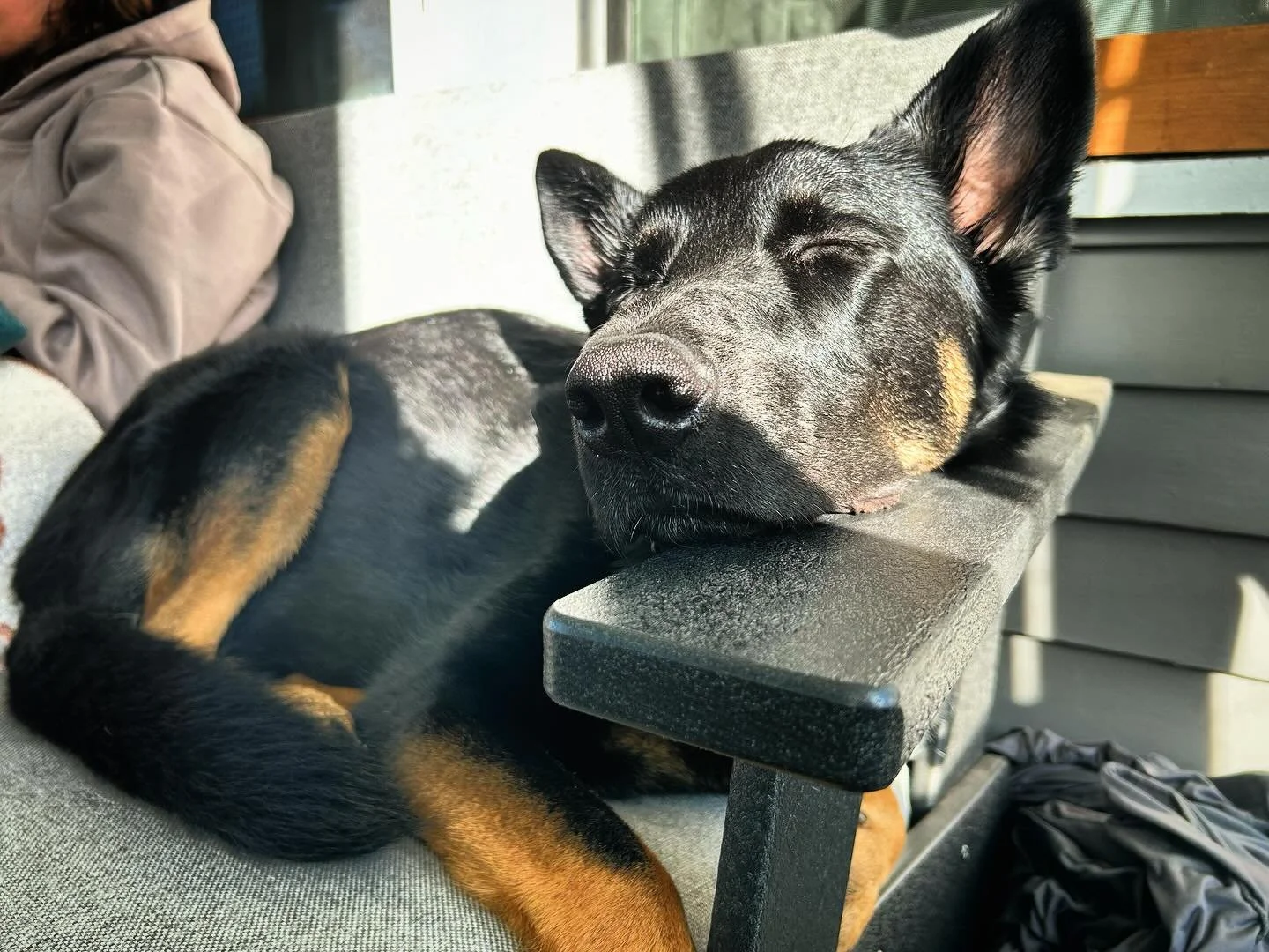 saturday morning snooze