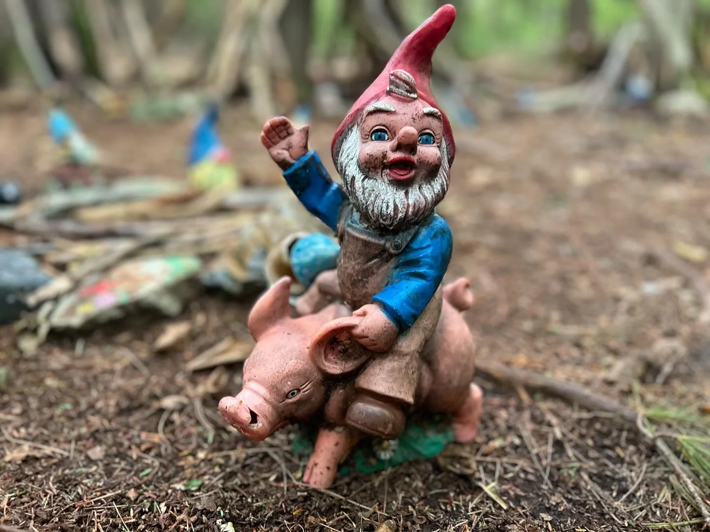 spotted on these guys on the trail in Vermont
