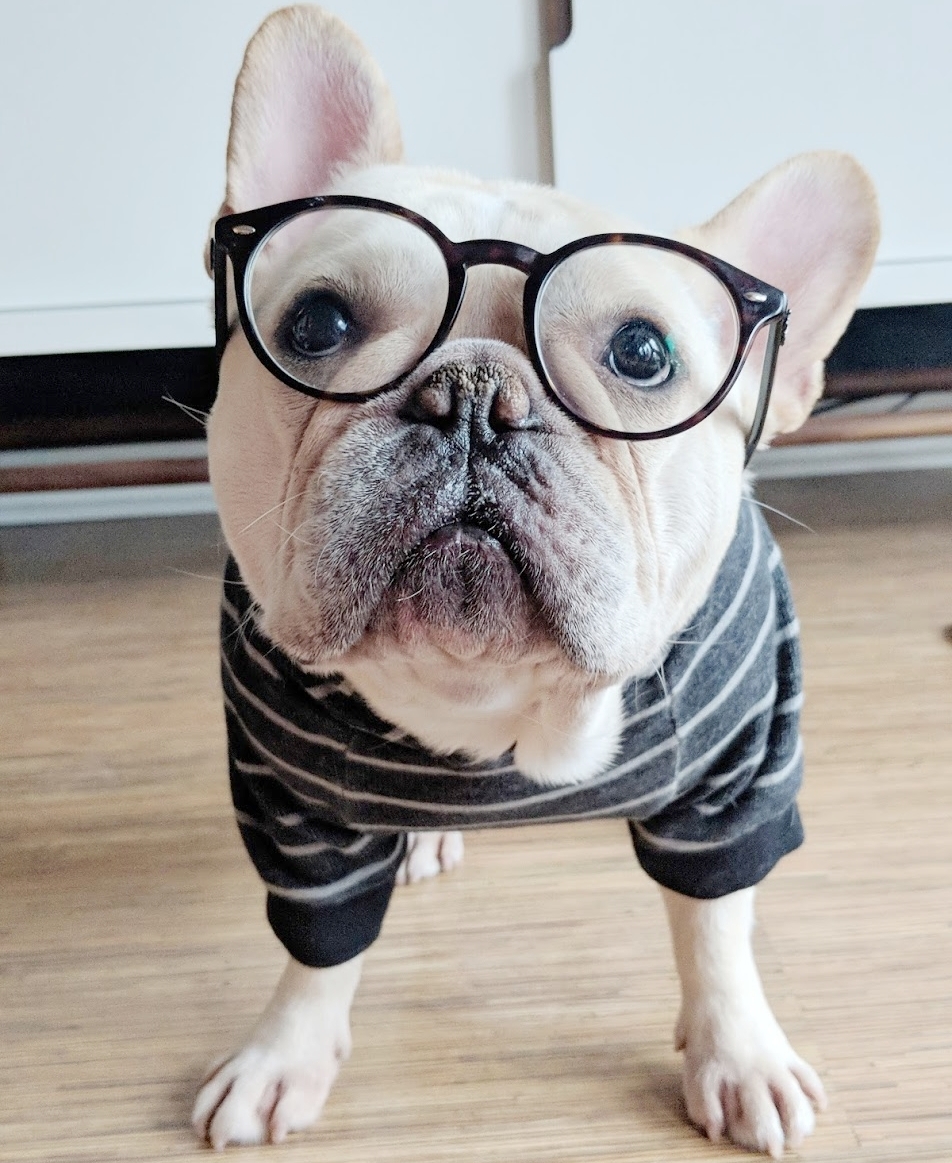 hort in glasses.jpg