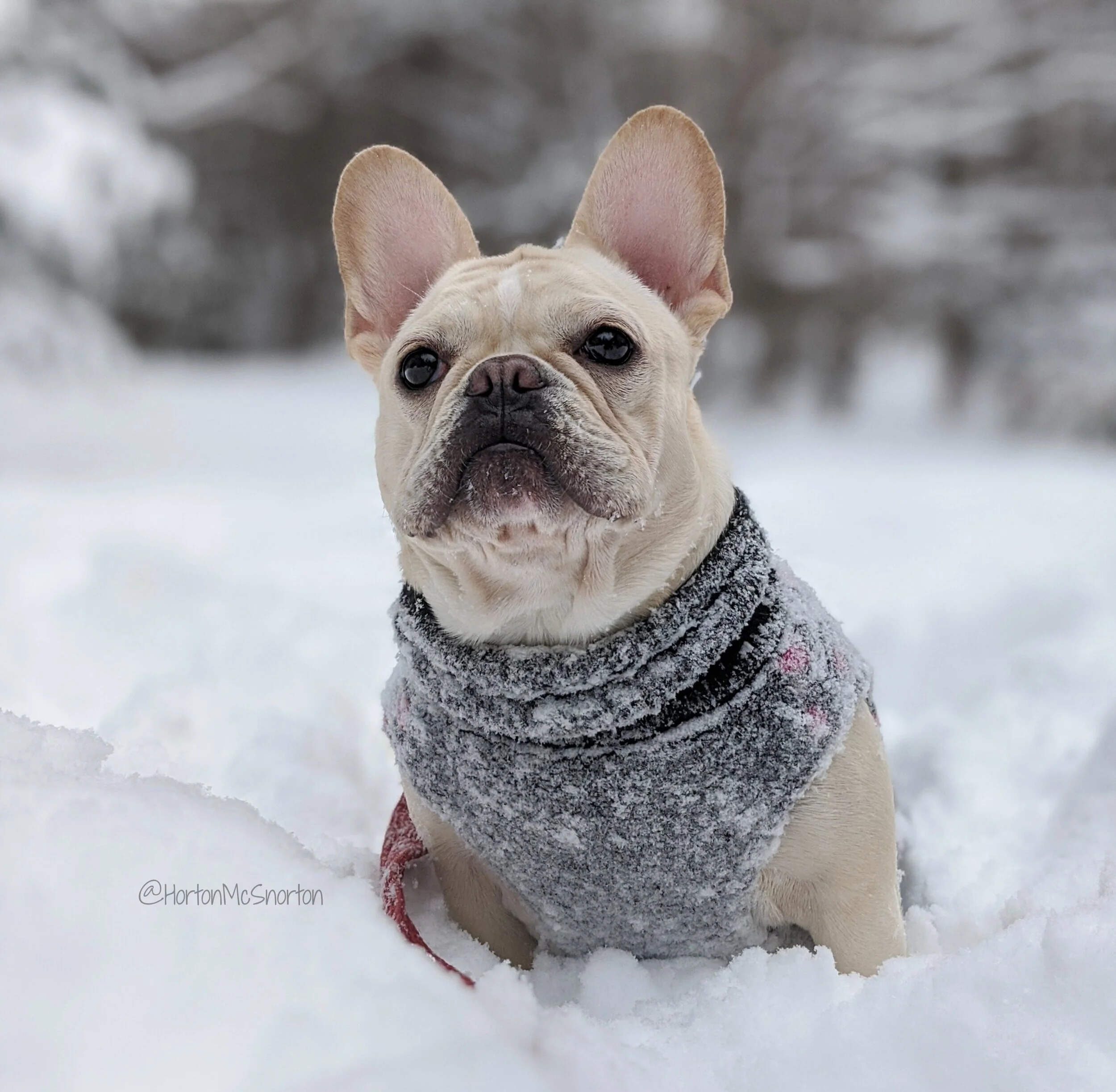 Winter Gear guide