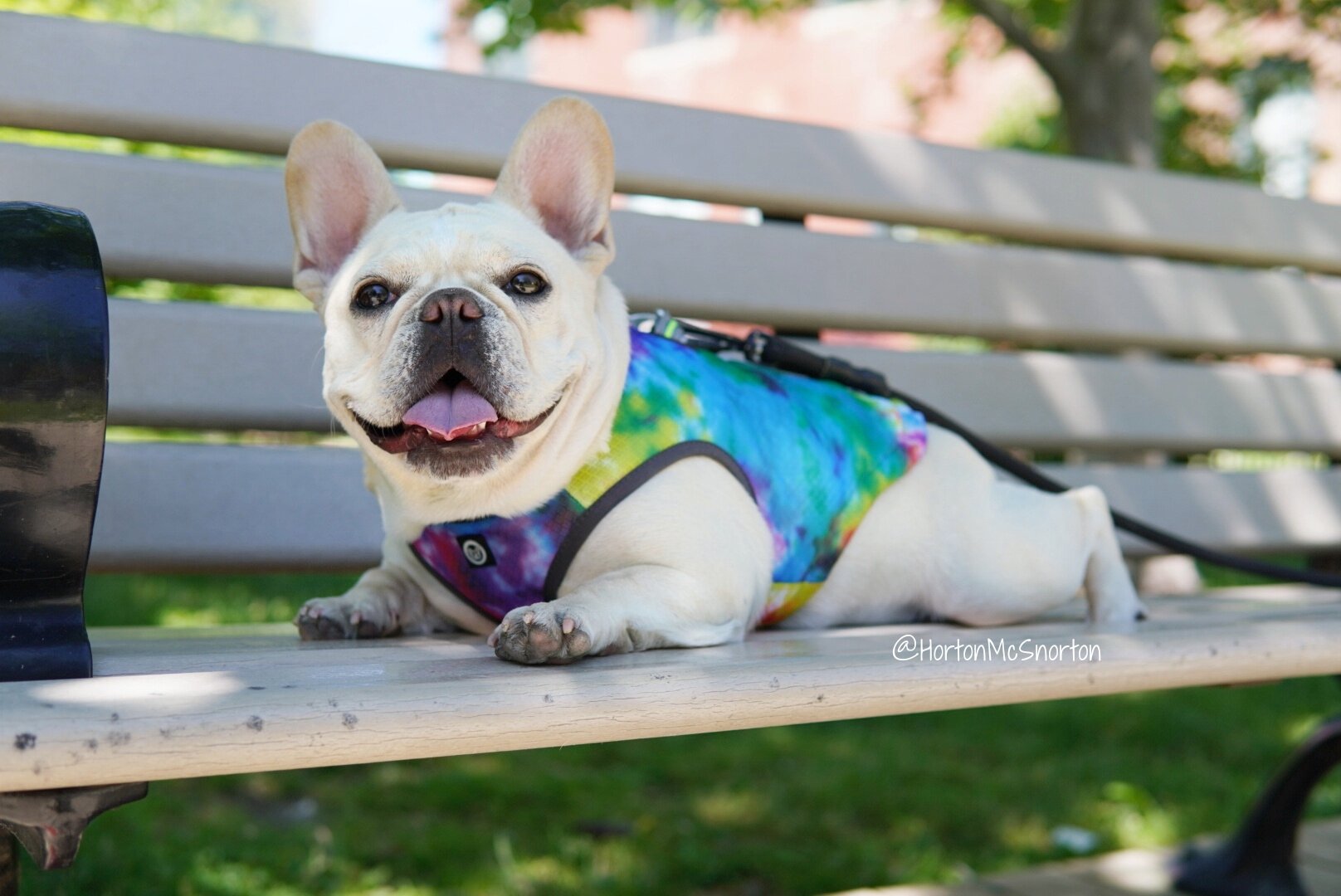 Cooling Vest from Bark Industry