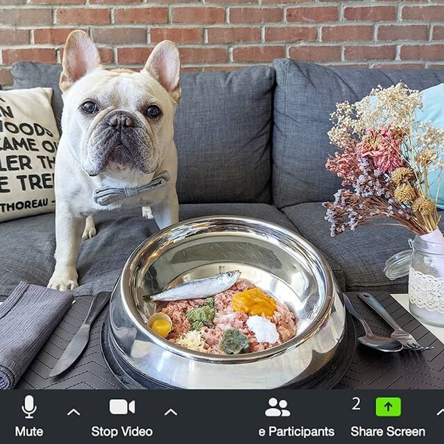 Life is just a series of zoom meetings separated by snacks now 💻🍖 Swipe ⬅️ #NewReality #DinnerDate &deg;
&deg;
Having a @bigcountryraw dinner date with my girl @iggyjoey 💕😋
&deg;
&deg;
For anyone looking to switch to raw, @bigcountryraw is having