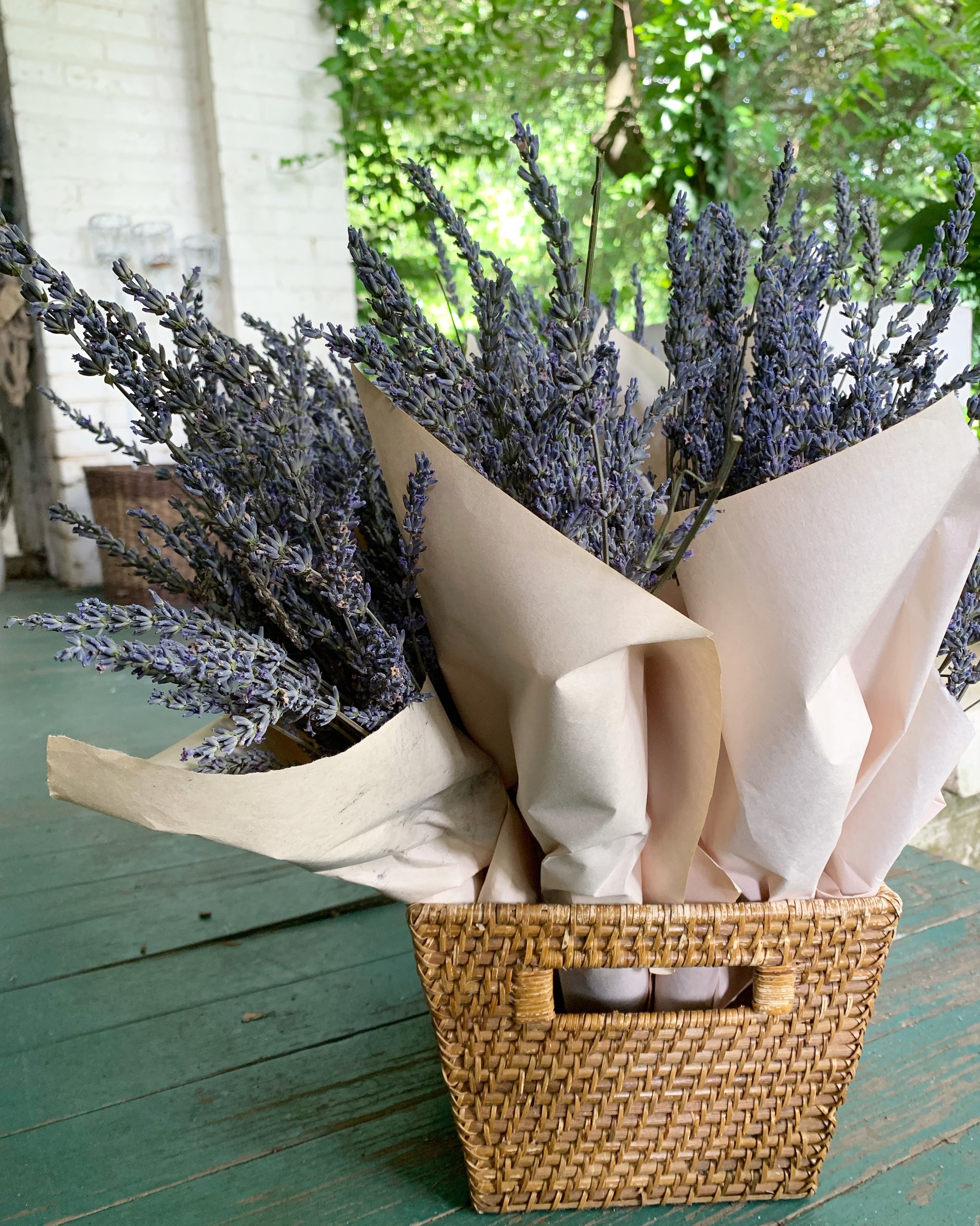 Dried Lavender Bundle — Dixie Farms Lavender