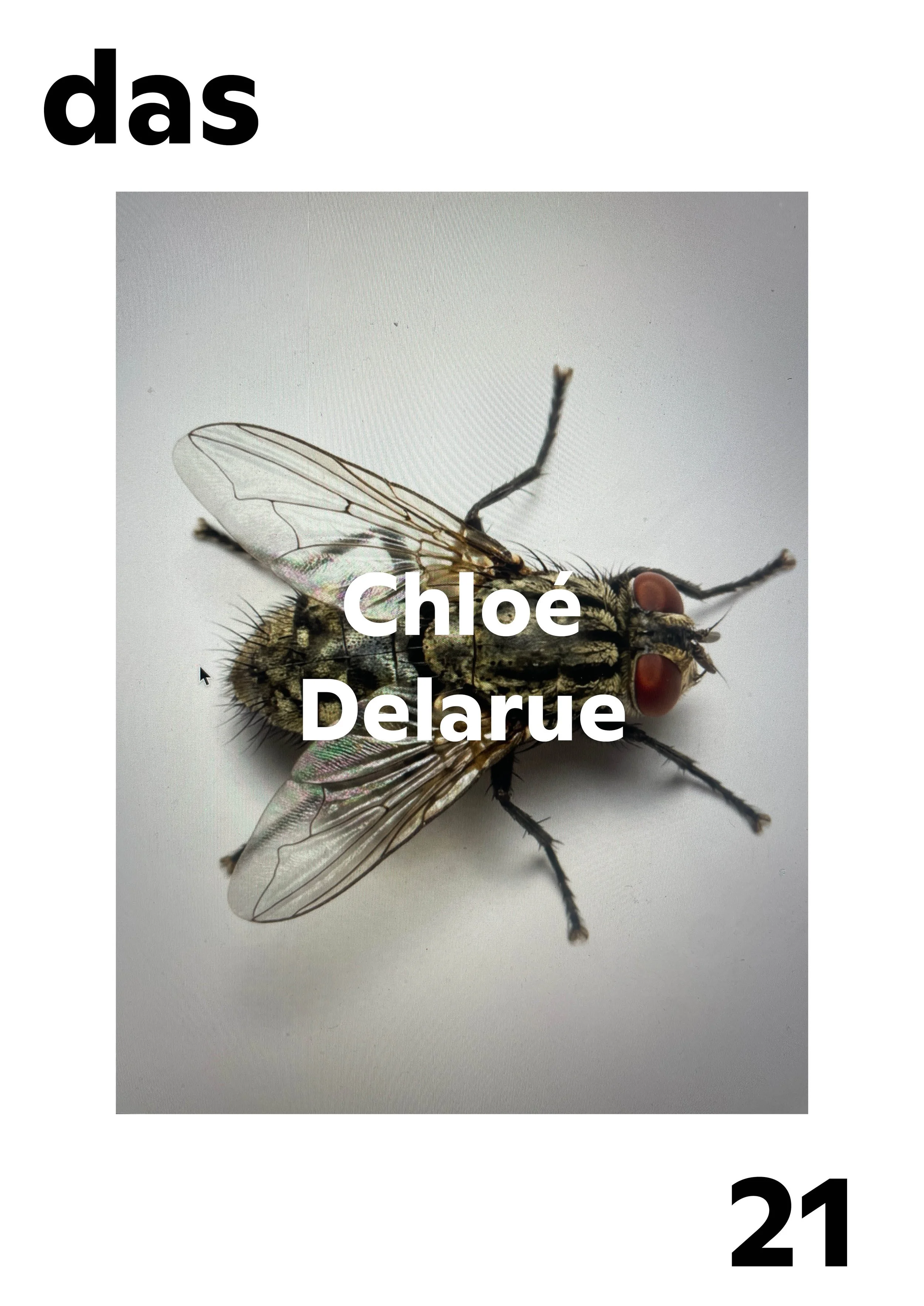 das_21_Chloé Delarue.jpg