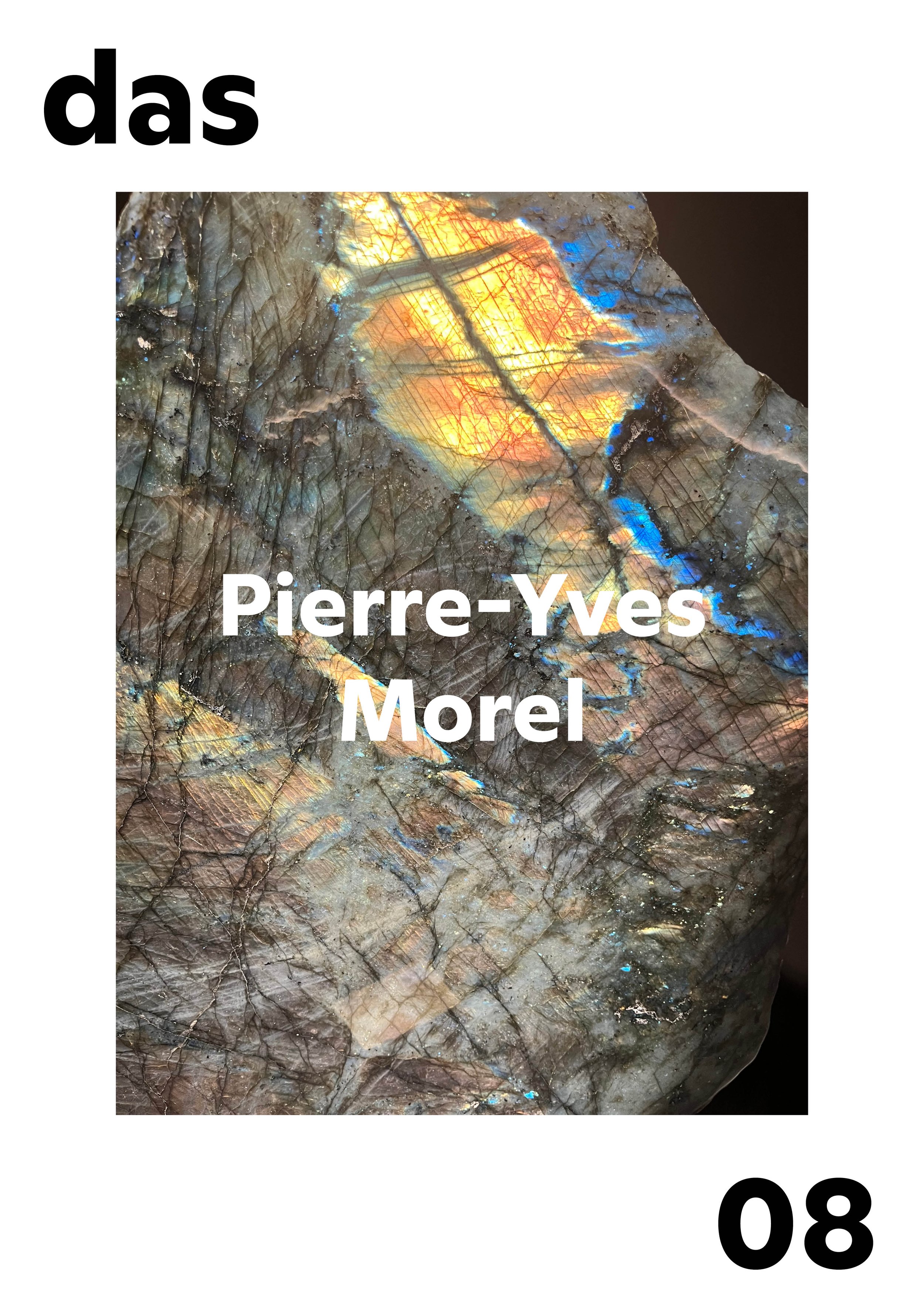 das_08_Pierre-Yves Morel.jpg
