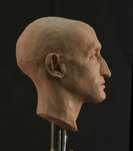 Bust, H. Cassell, 2016.jpg