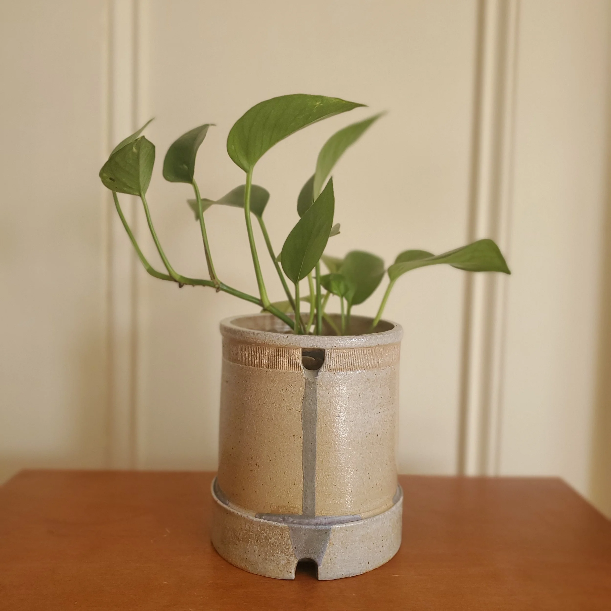 20220131_102641.jpg